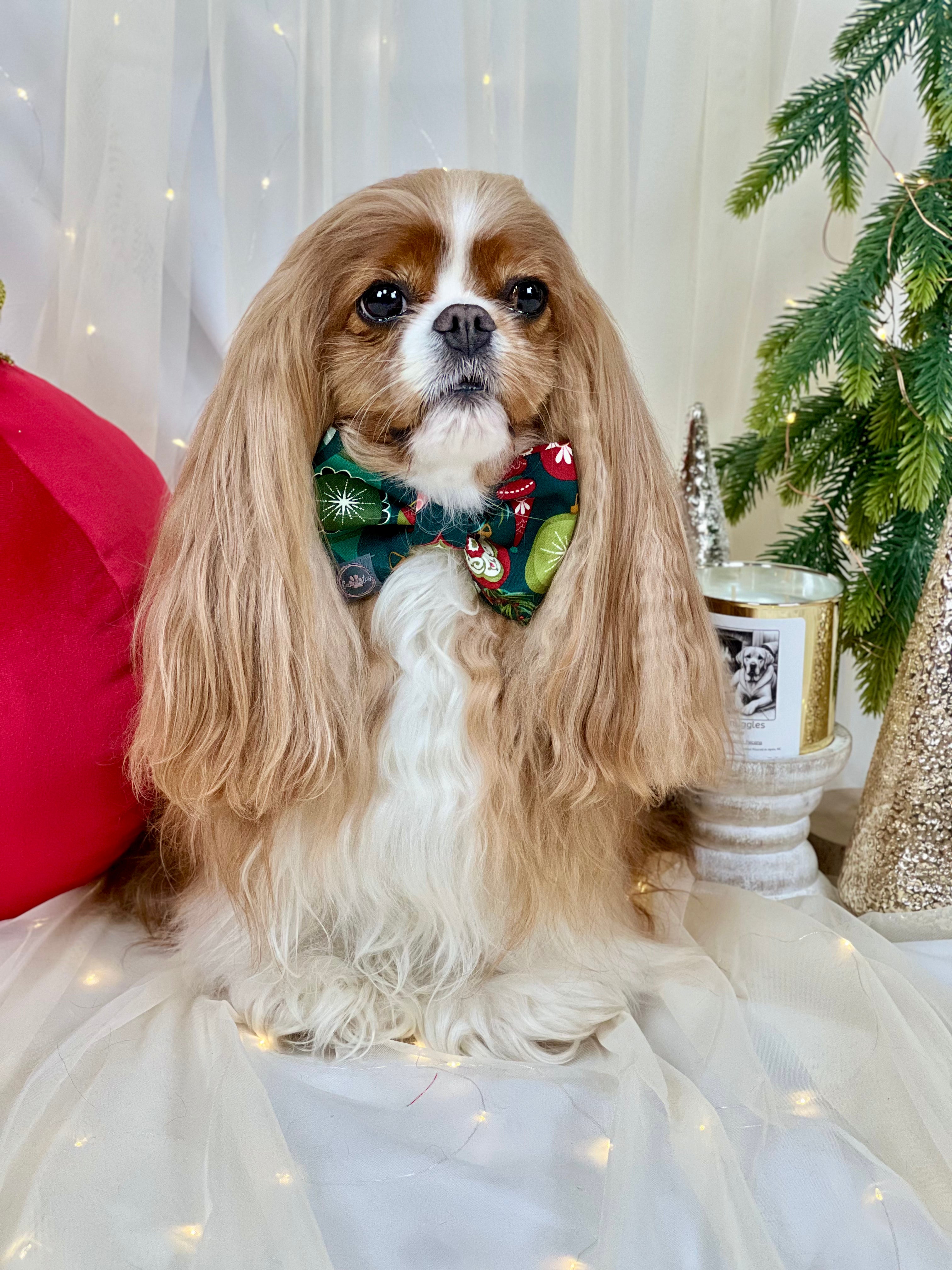 Dress to Impress Bow Tie - Festive Baubles & Snow Flurries