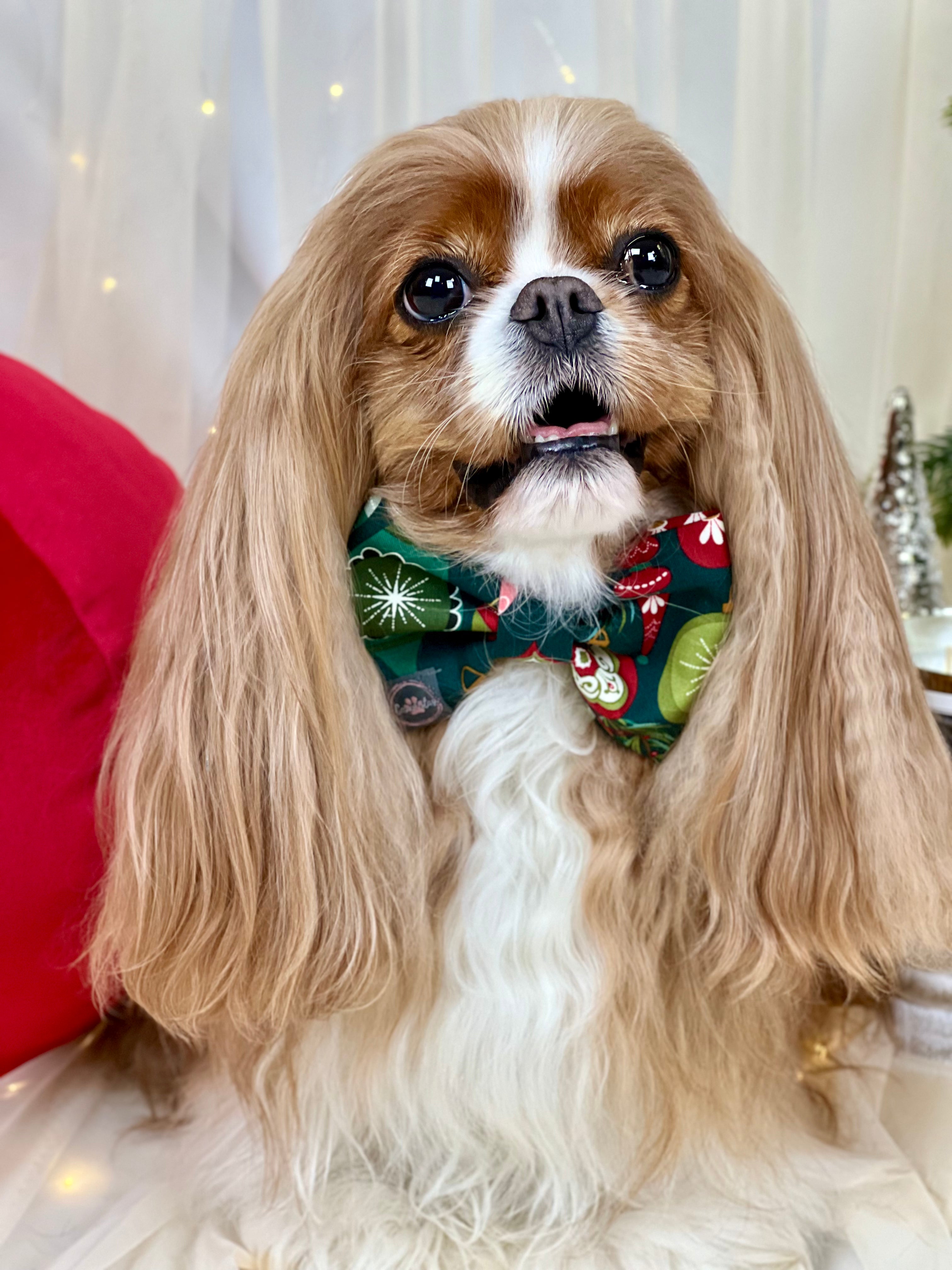 Dress to Impress Bow Tie - Festive Baubles & Snow Flurries