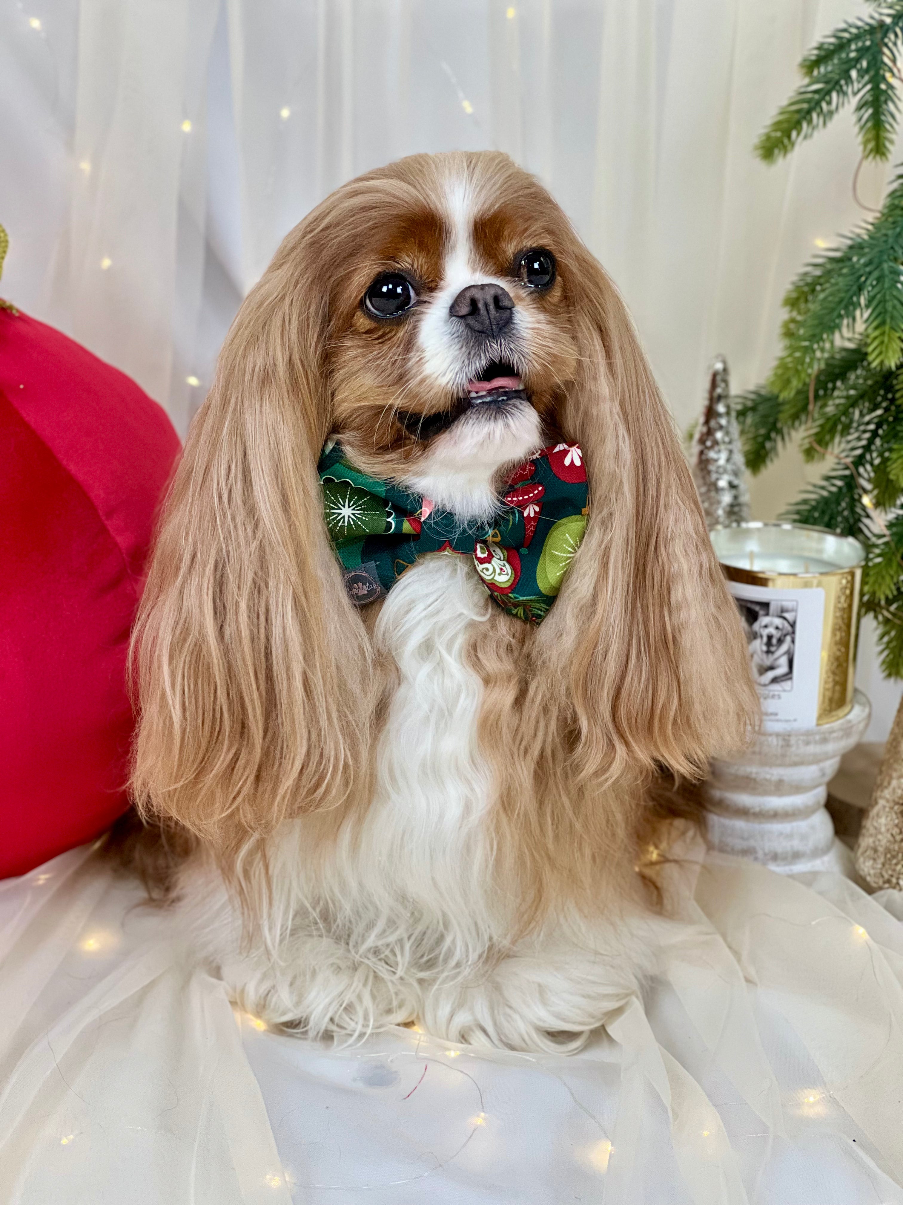 Dress to Impress Bow Tie - Festive Baubles & Snow Flurries