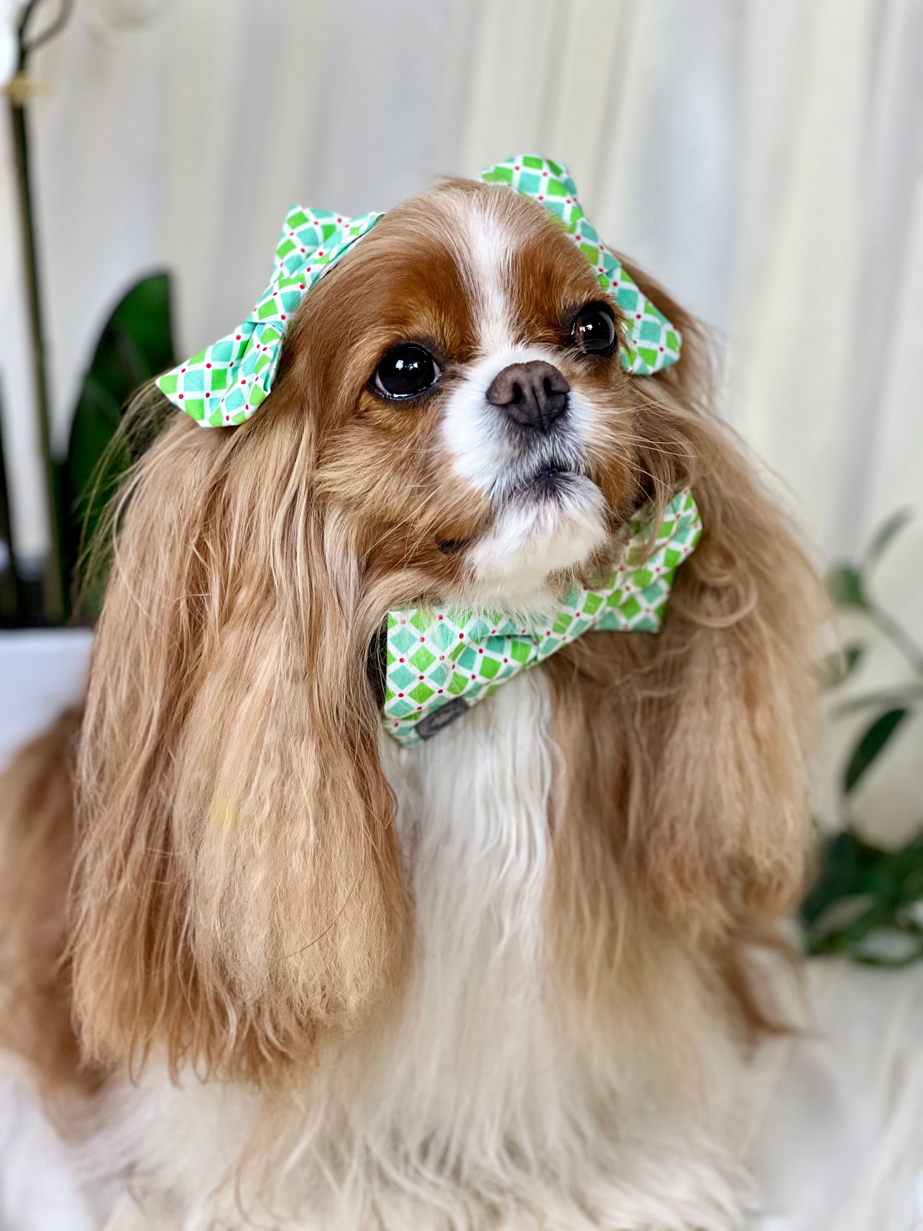 Accessories are a Must Hair Bows - Mint Diamonds & Raspberry Blossoms