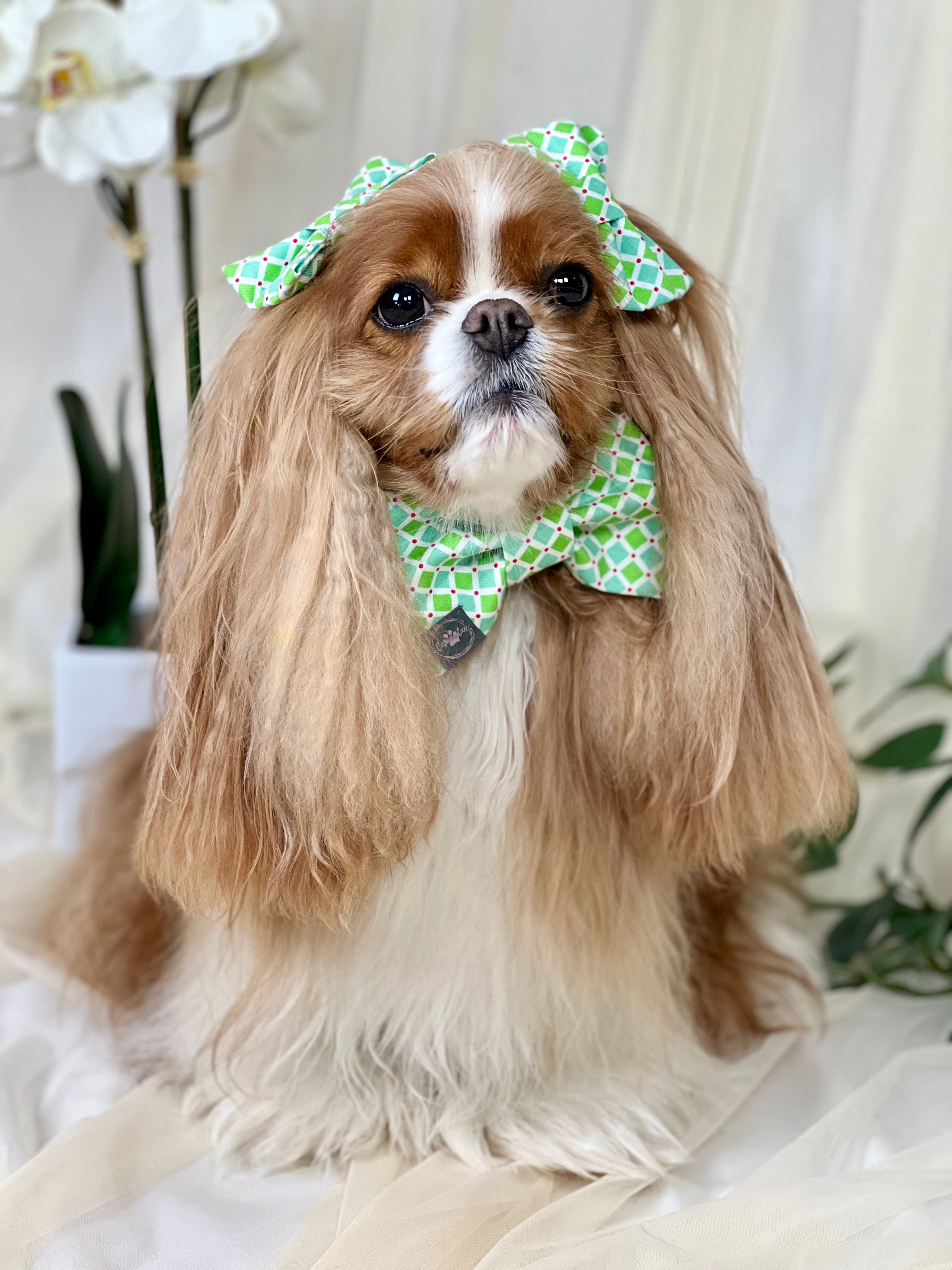 Dress to Impress Bow Tie - Mint Diamonds & Raspberry Blossoms