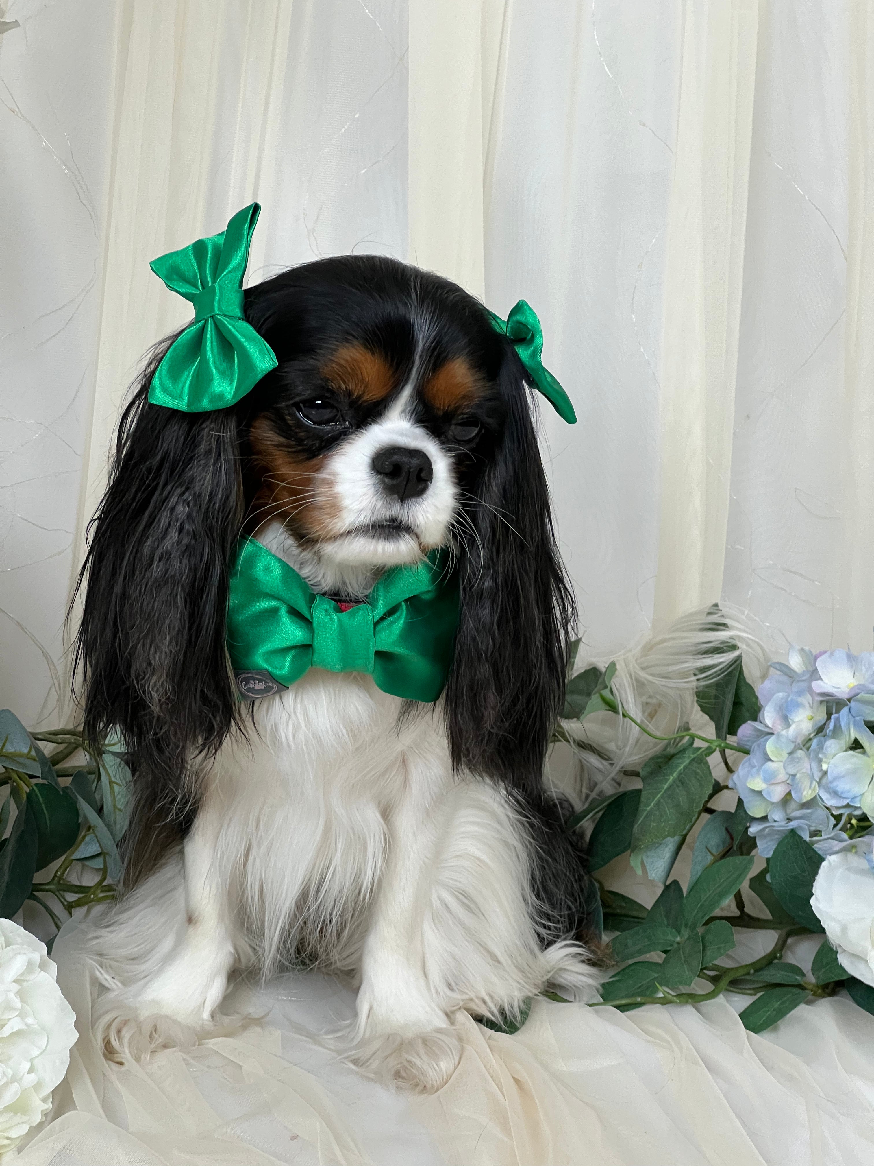 Accessories are a Must Hair Bows - Emeralds are always in Style