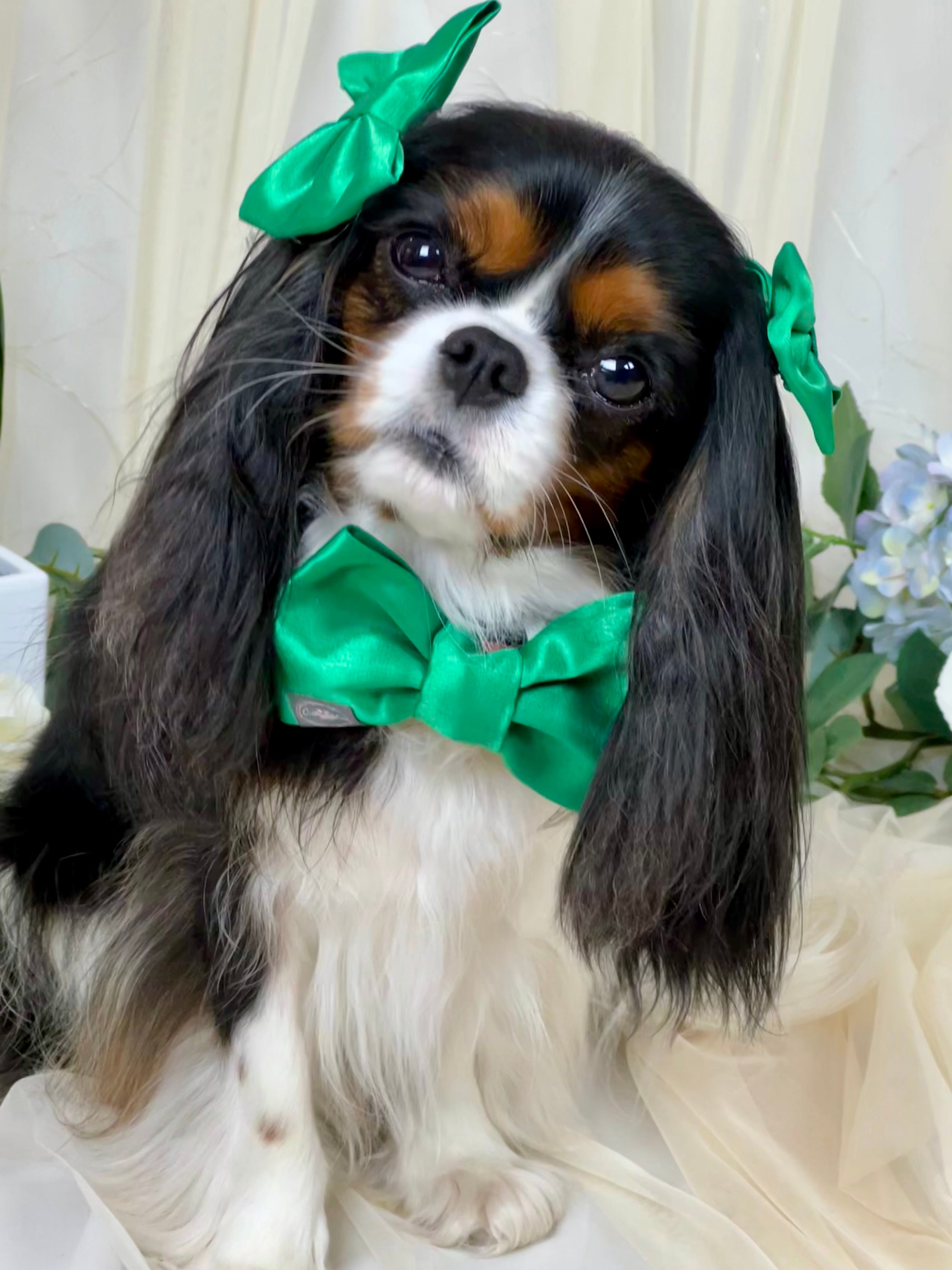 Dress to Impress Bow Tie - Emeralds are Always in Style