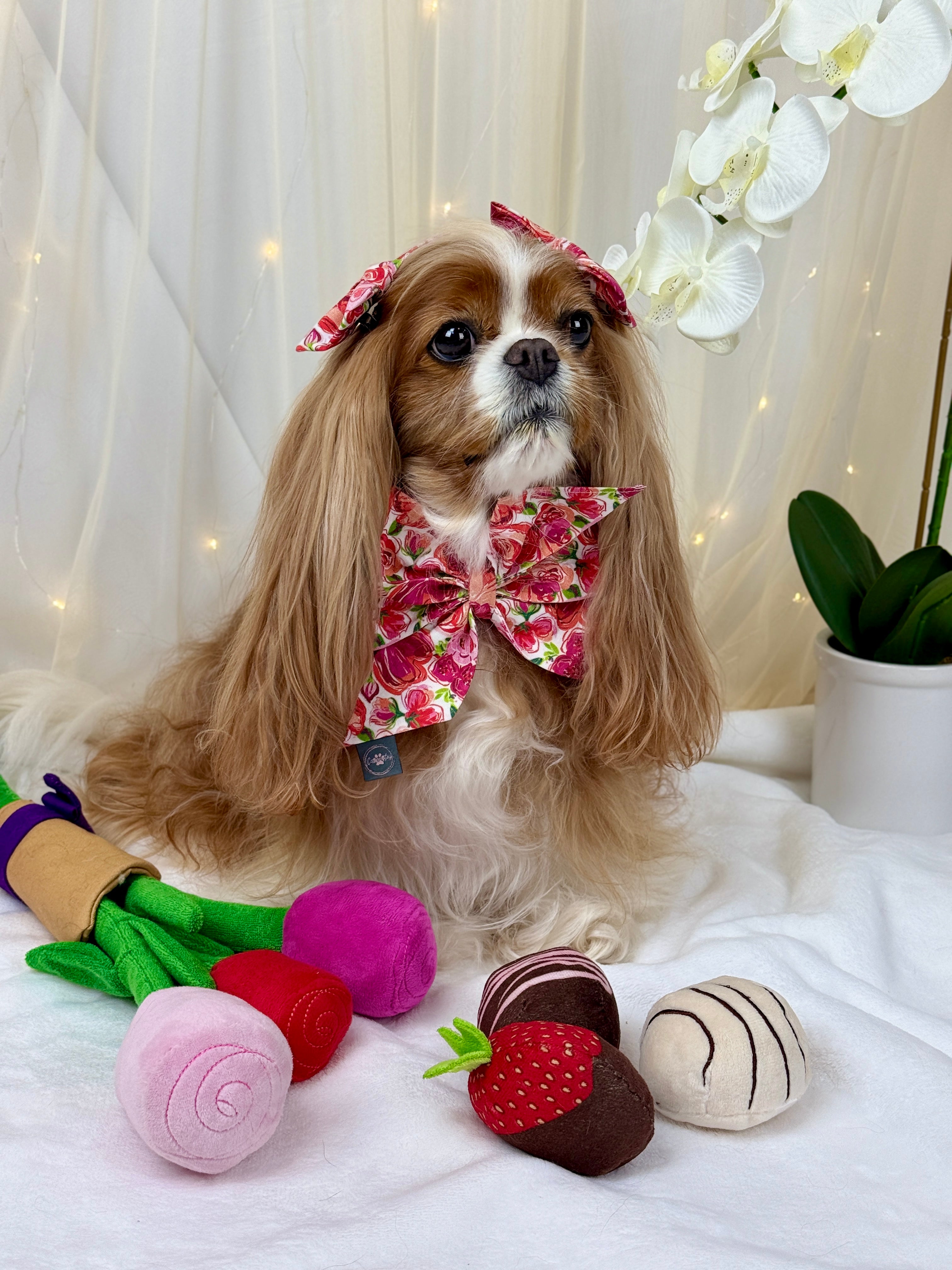 Strike a Pose Bow - Love in Bloom & Sweetheart Sprinkles