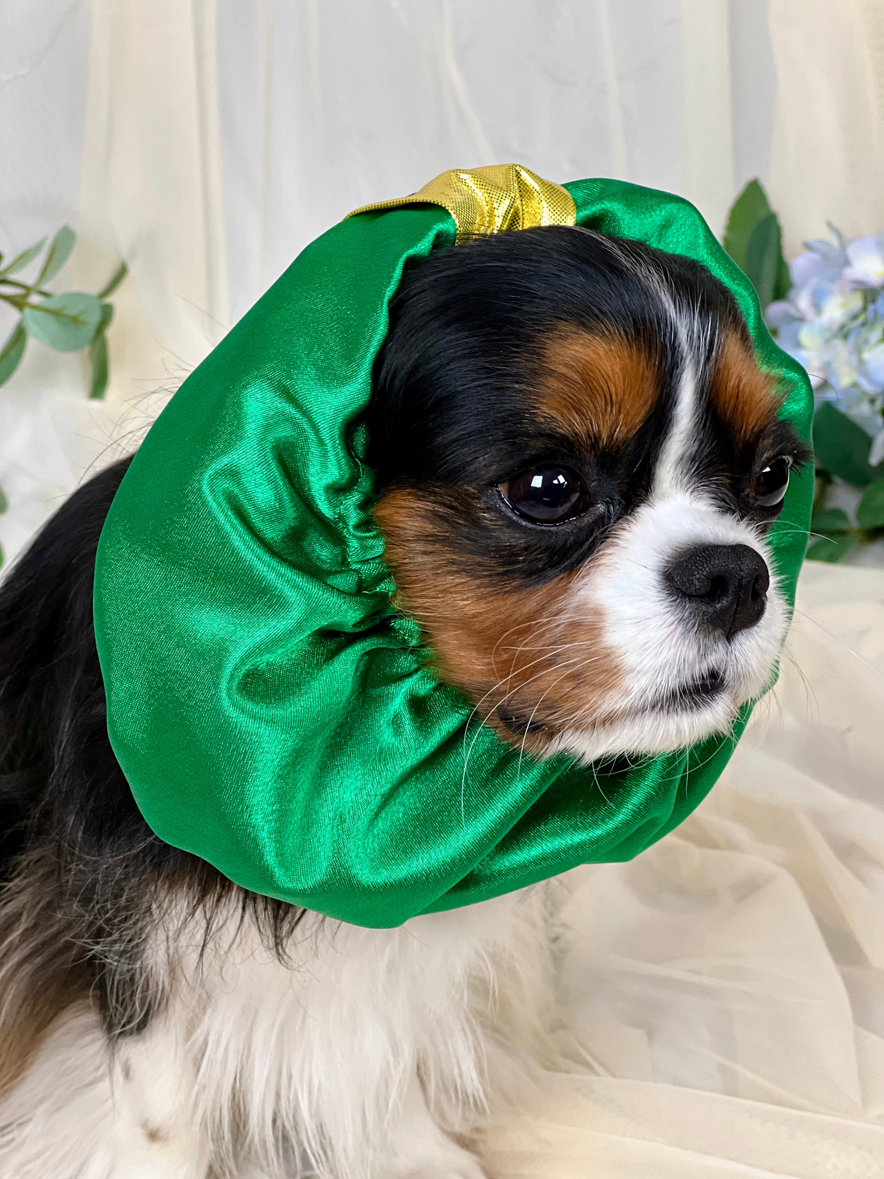 The Long Ear Struggles are Real Snood - Emeralds are Always in Style