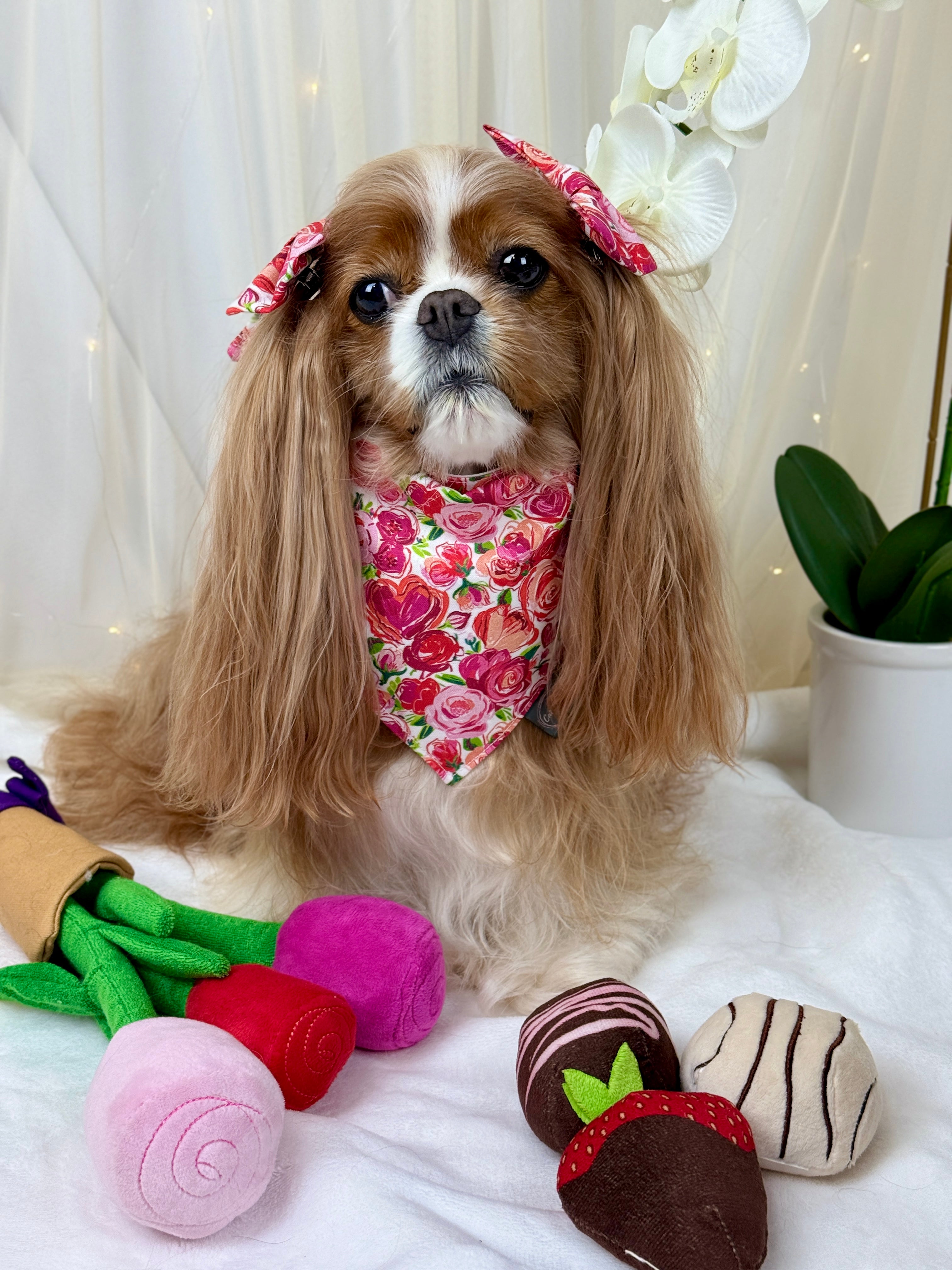 Intermission Wardrobe Change Reversible Bandana - Love in Bloom & Sweetheart Sprinkles