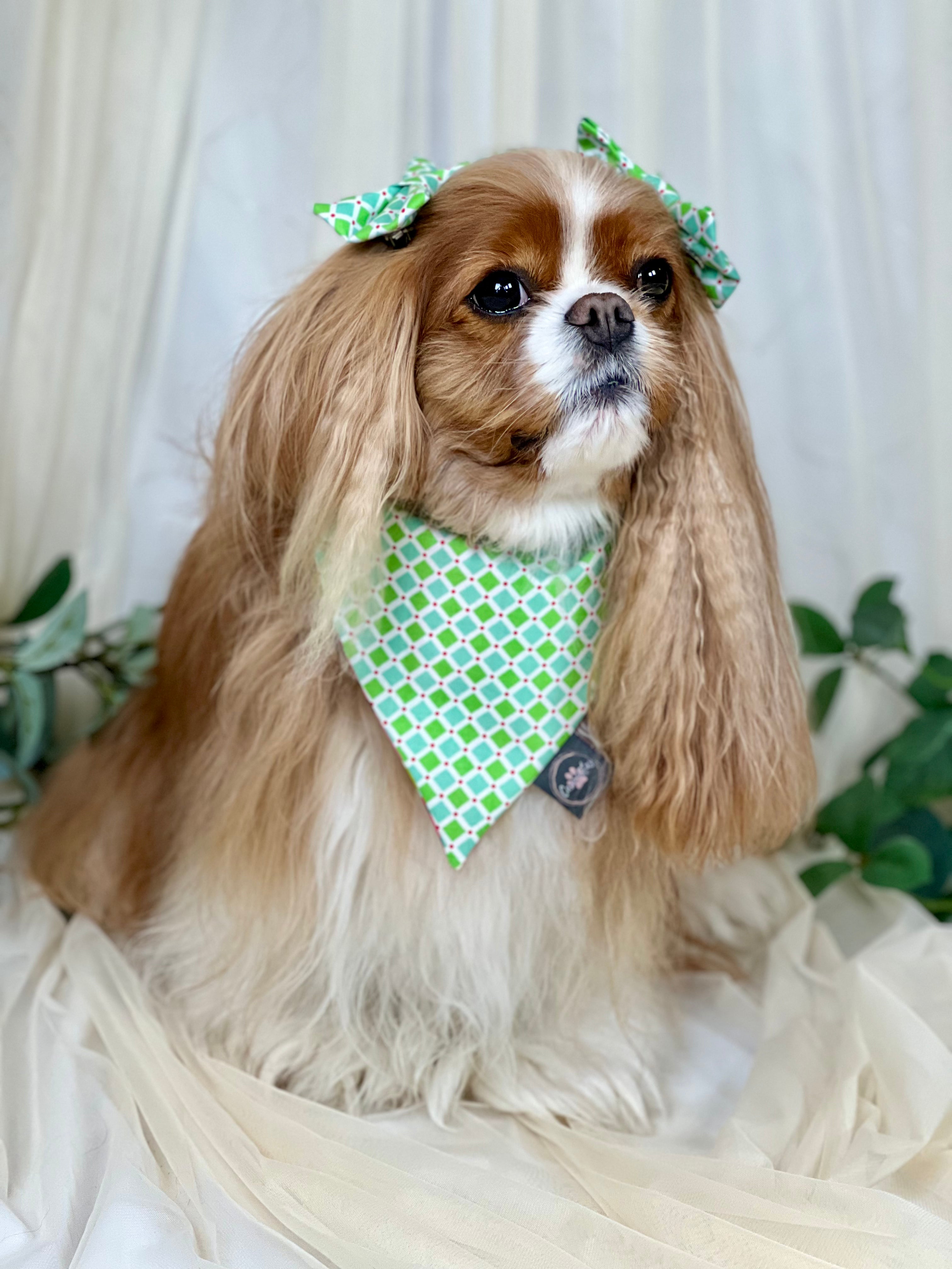 Intermission Wardrobe Change Reversible Bandana - Mint Diamonds & Raspberry Blossoms