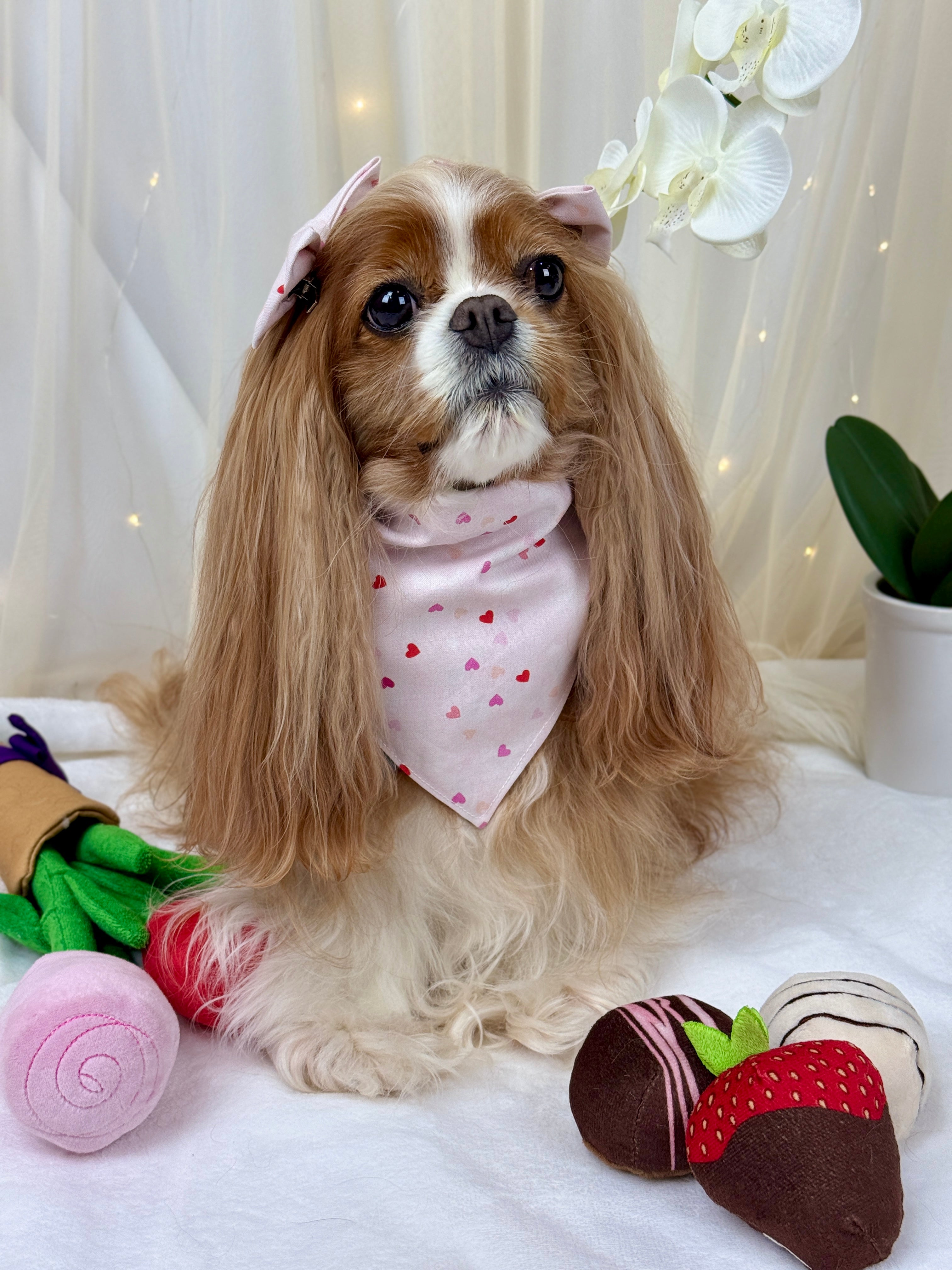 Intermission Wardrobe Change Reversible Bandana - Love in Bloom & Sweetheart Sprinkles