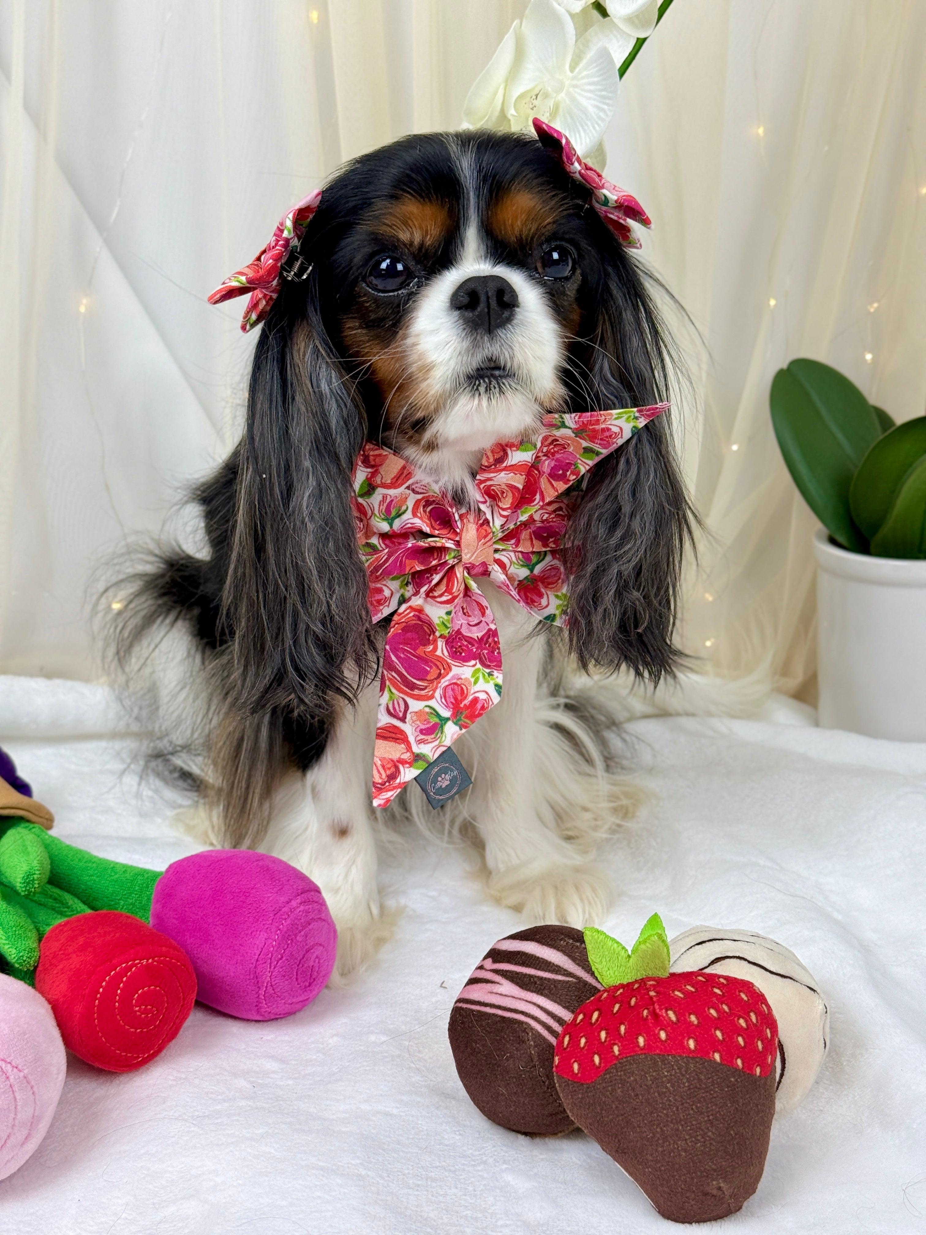 Strike a Pose Bow - Love in Bloom & Sweetheart Sprinkles