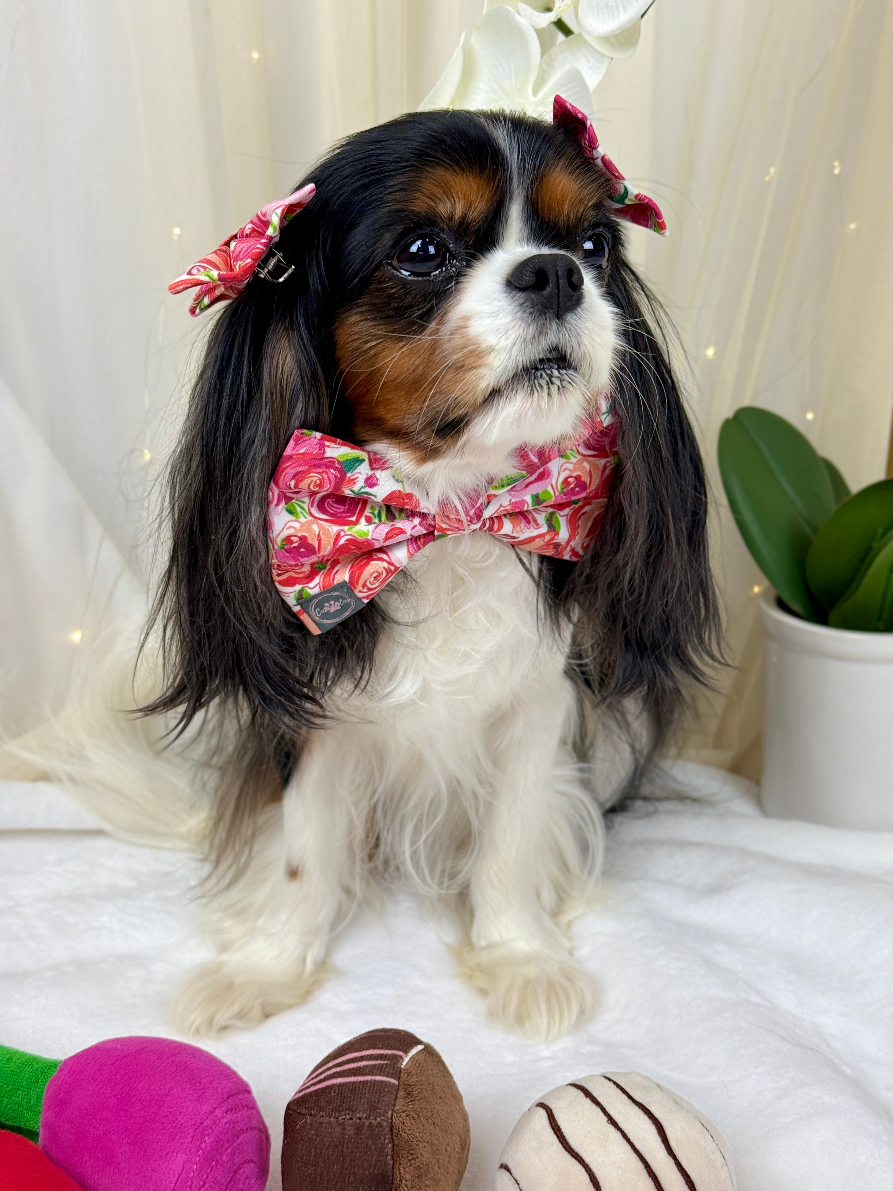 Dress to Impress Bow Tie - Love in Bloom or Sweetheart Sprinkles