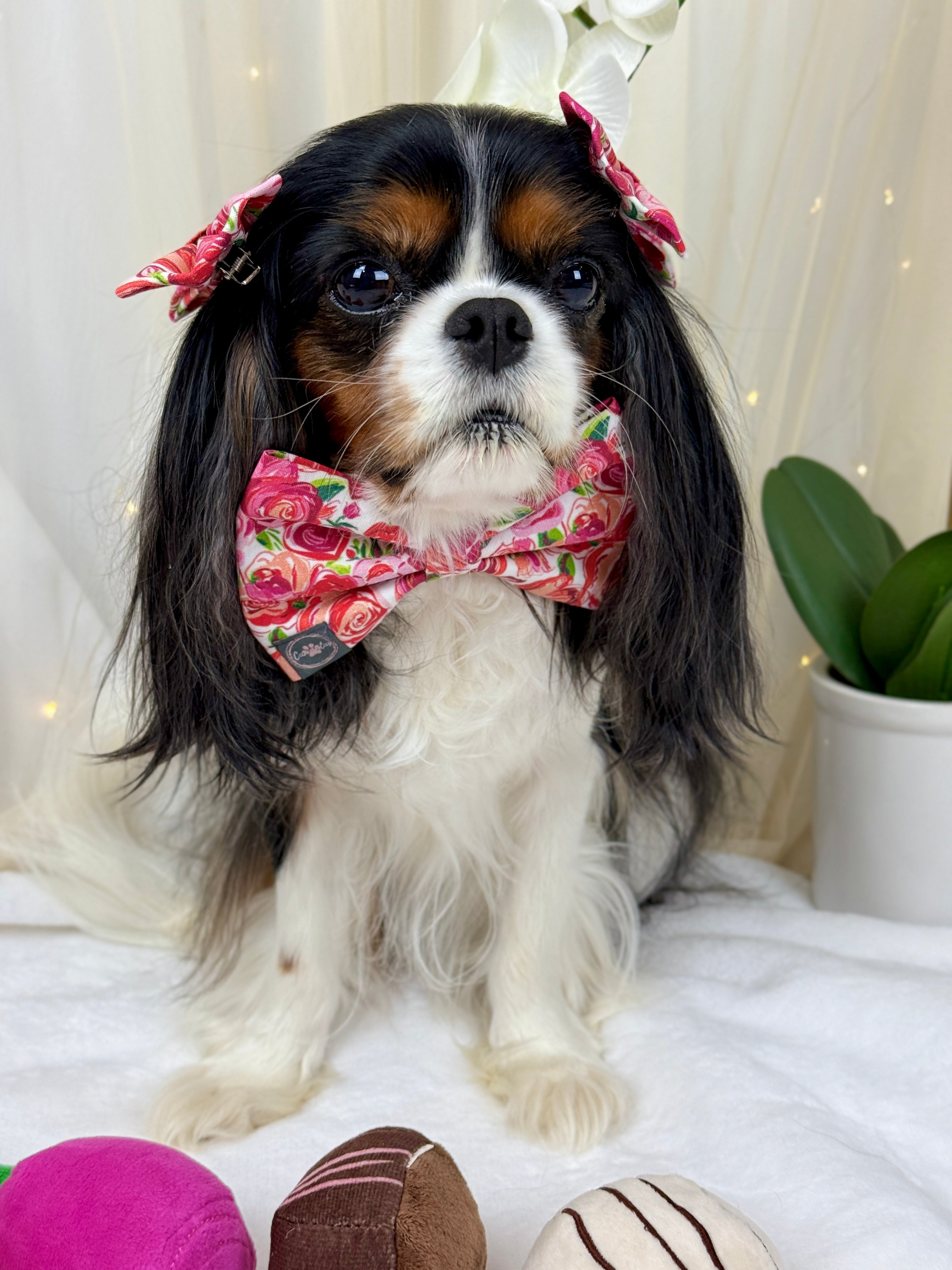 Dress to Impress Bow Tie - Love in Bloom or Sweetheart Sprinkles