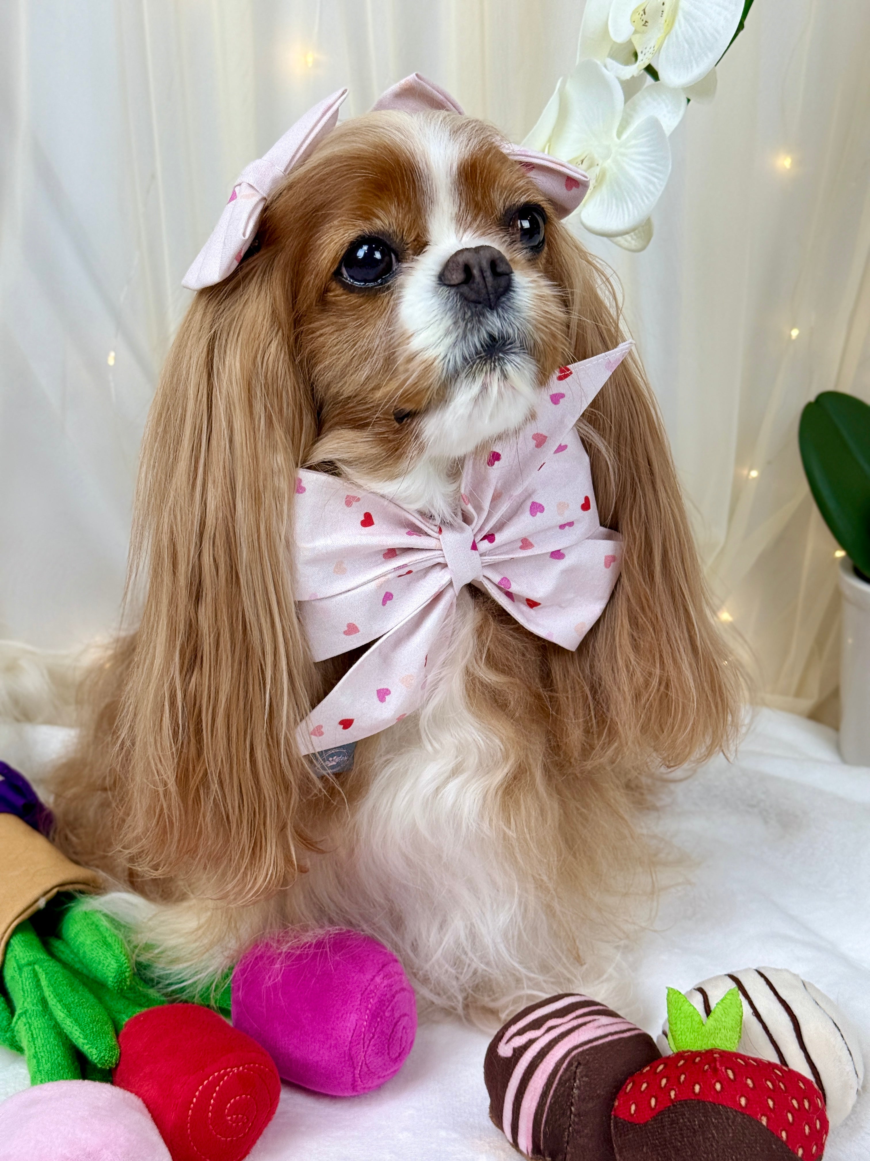 Strike a Pose Bow - Love in Bloom & Sweetheart Sprinkles