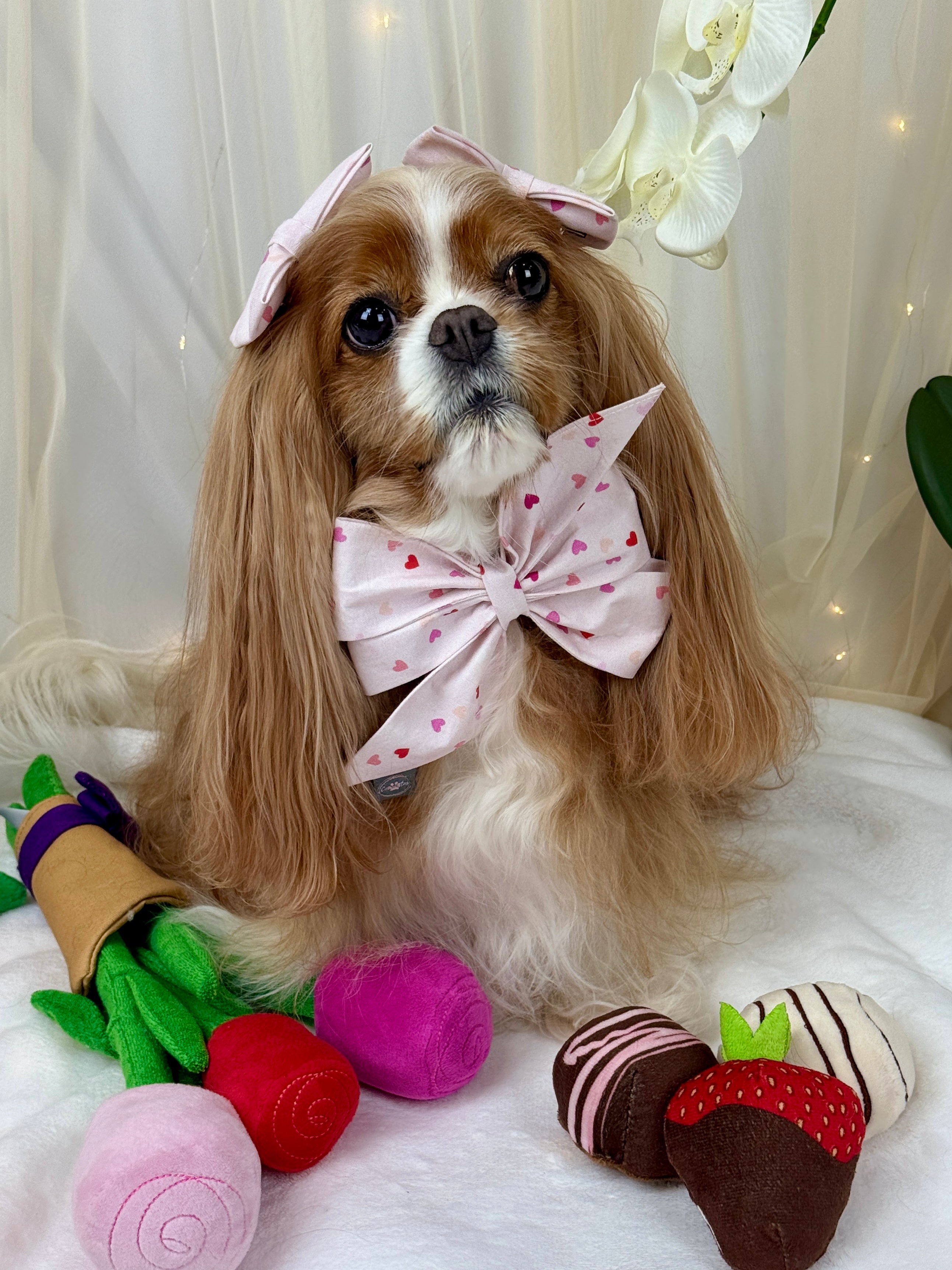 Strike a Pose Bow - Love in Bloom & Sweetheart Sprinkles