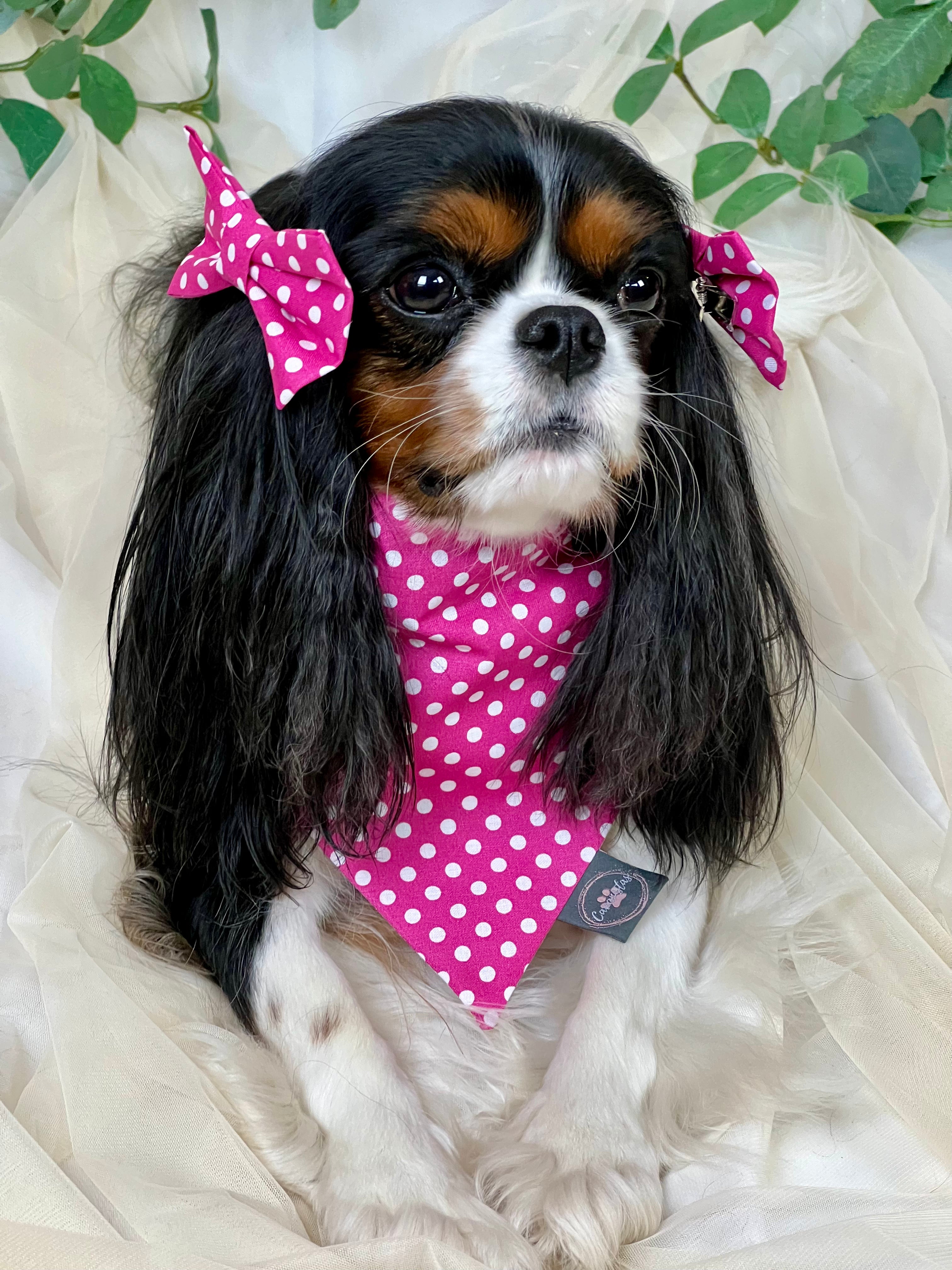 Intermission Wardrobe Change Reversible Bandana - Pink Polka Dots & Pastel Paisleys