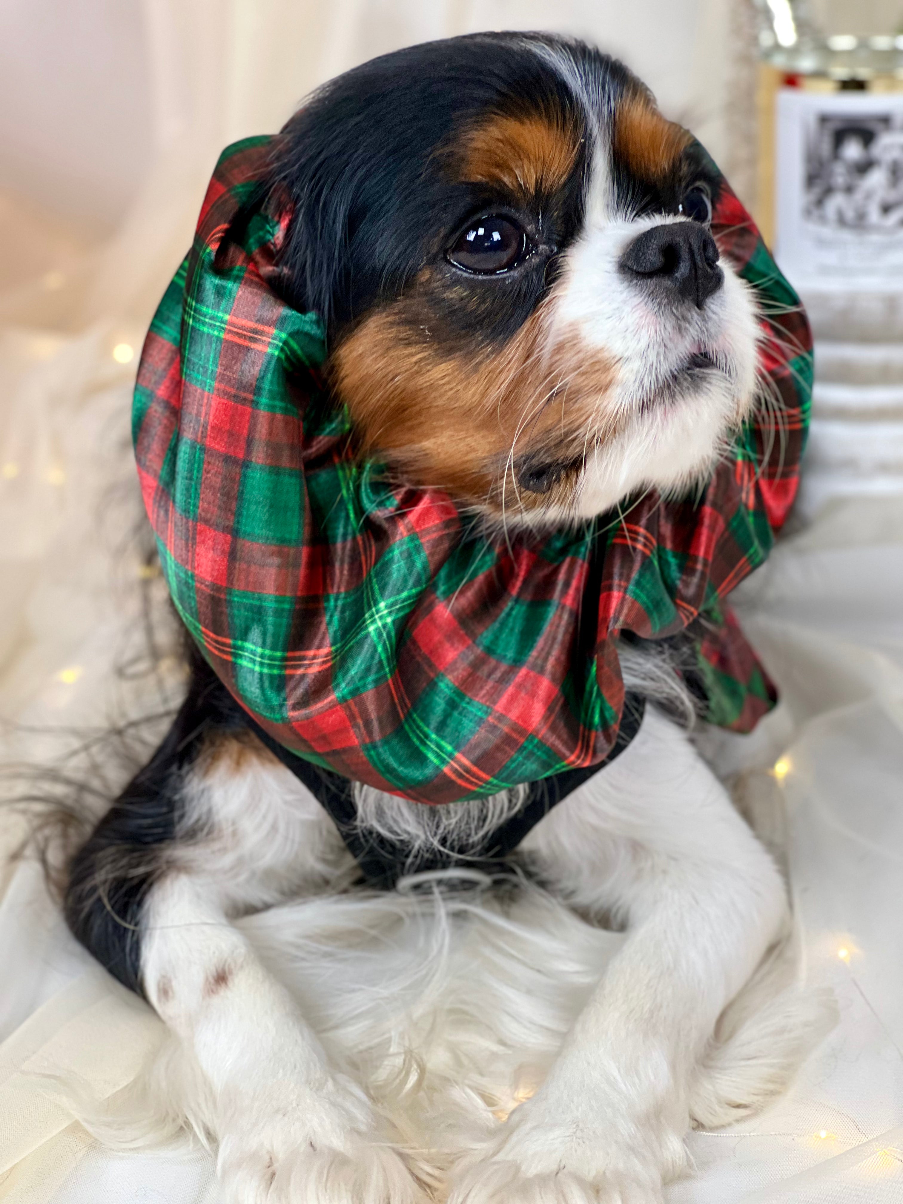 The Long-Ear Struggles are Real Snood - Holiday Tartan