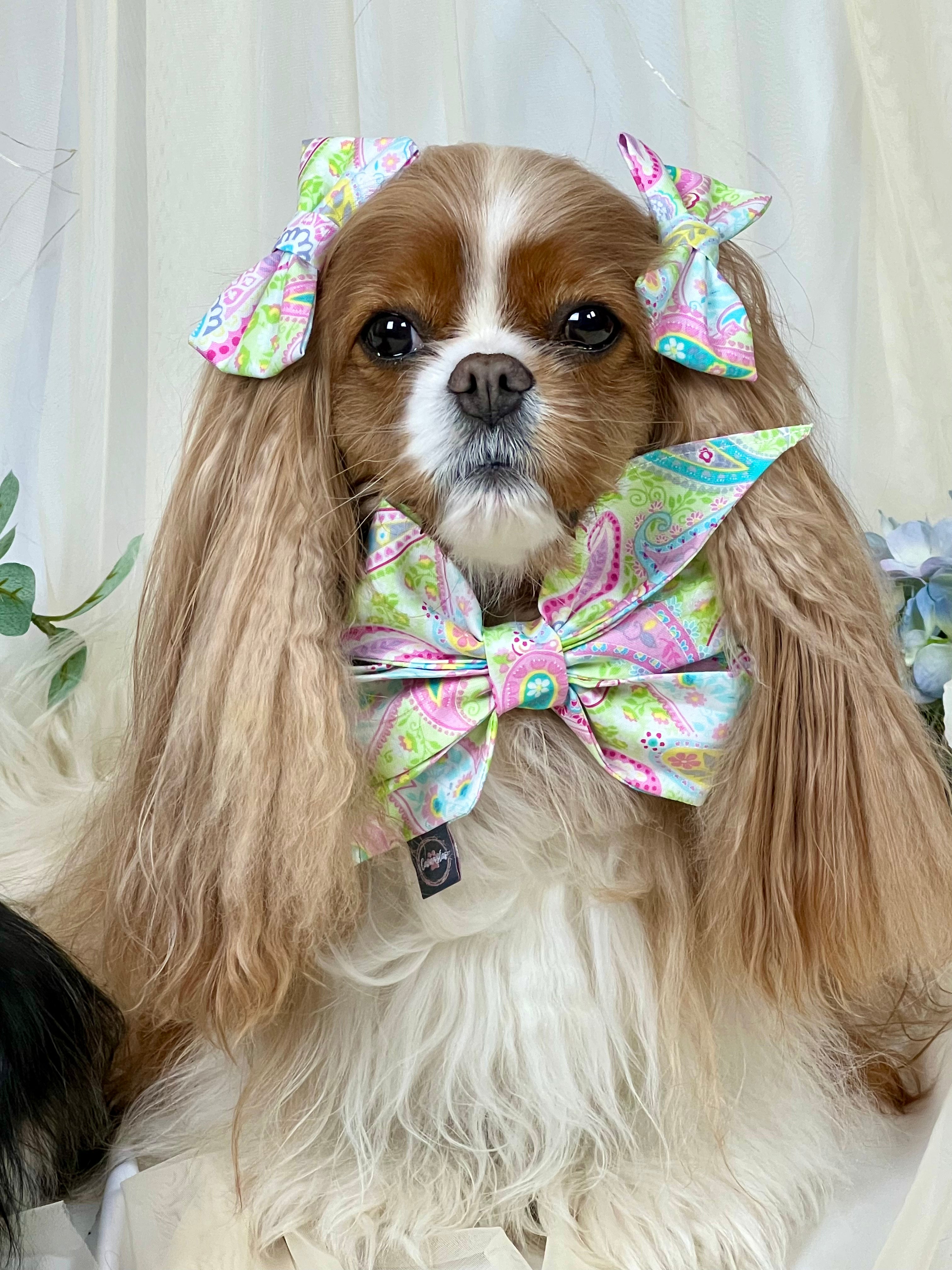 Strike a Pose Bow - Pink Polka Dots & Pastel Paisleys