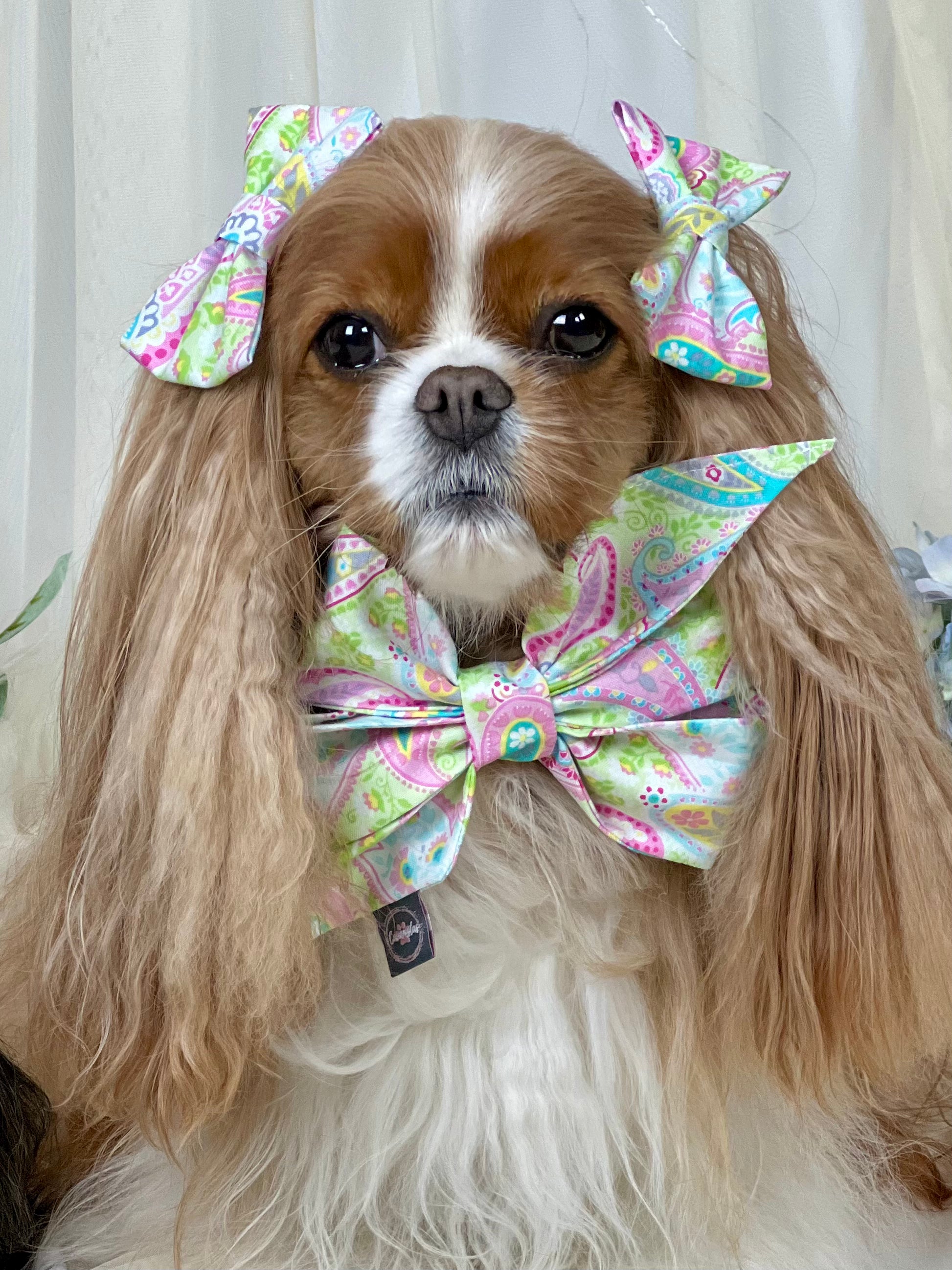 Accessories are a Must Hair Bows - Pink Polka Dots & Pastel Paisleys