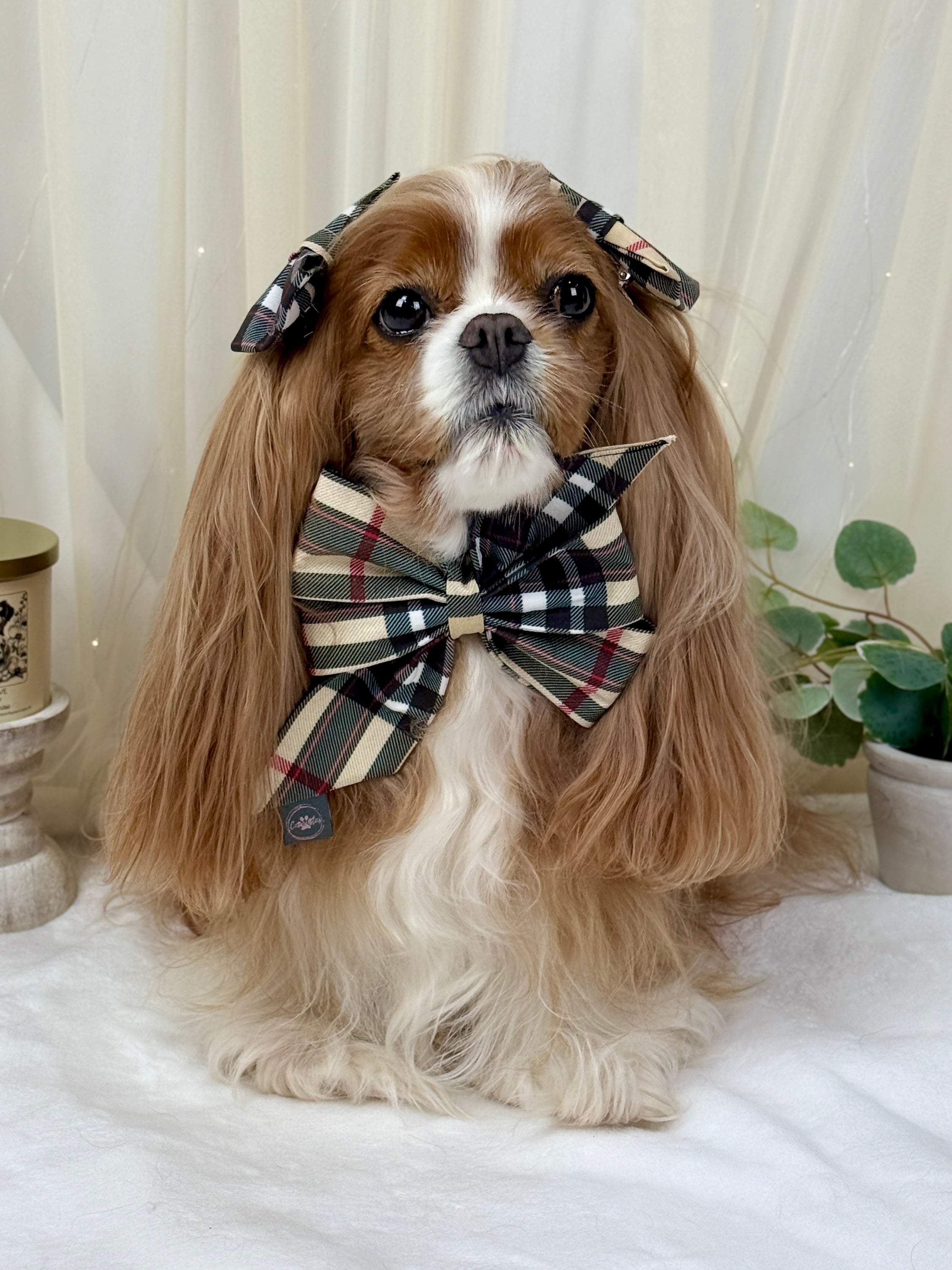 Strike a Pose Bow - Furberry Plaid