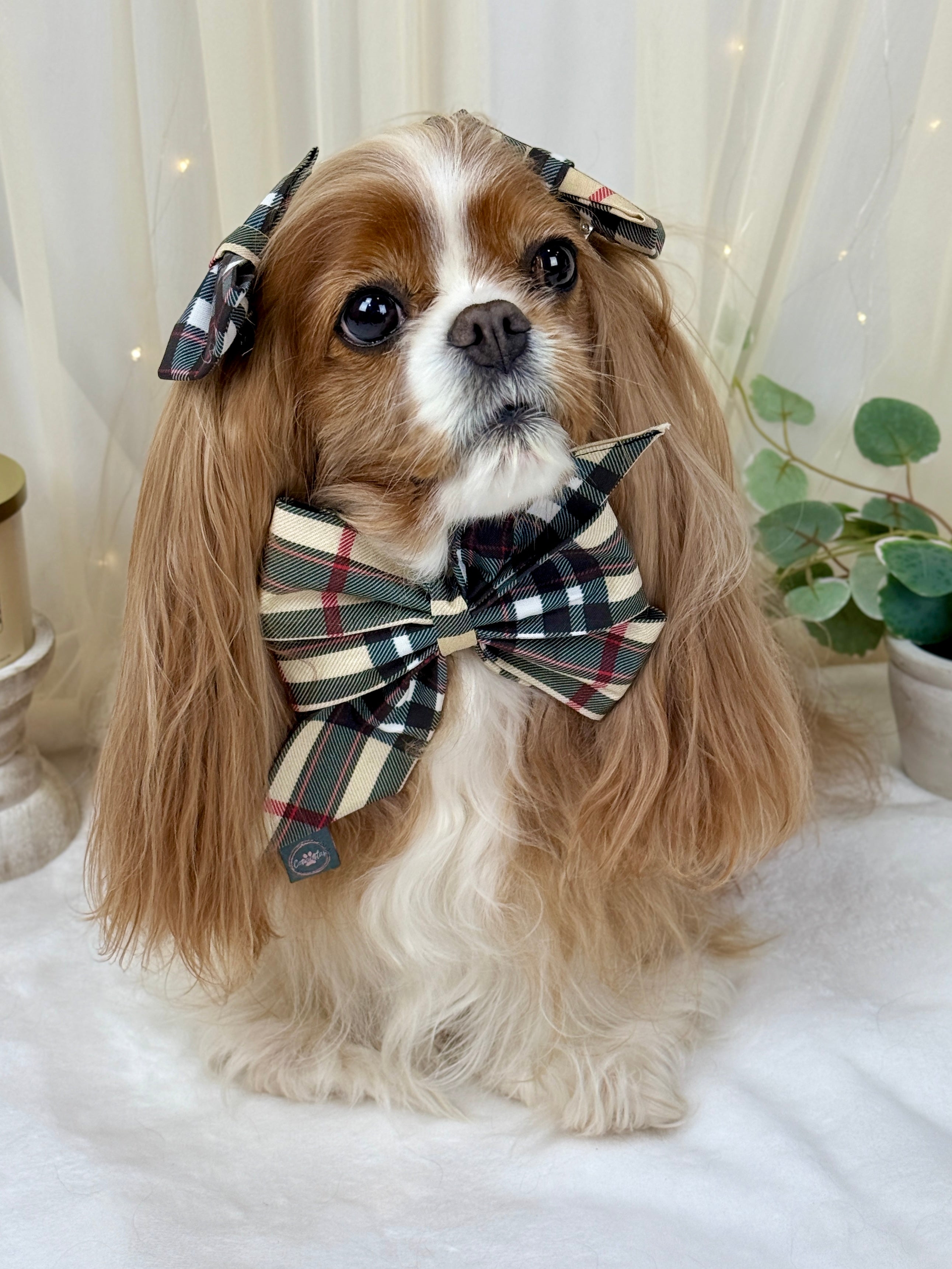 Strike a Pose Bow - Furberry Plaid