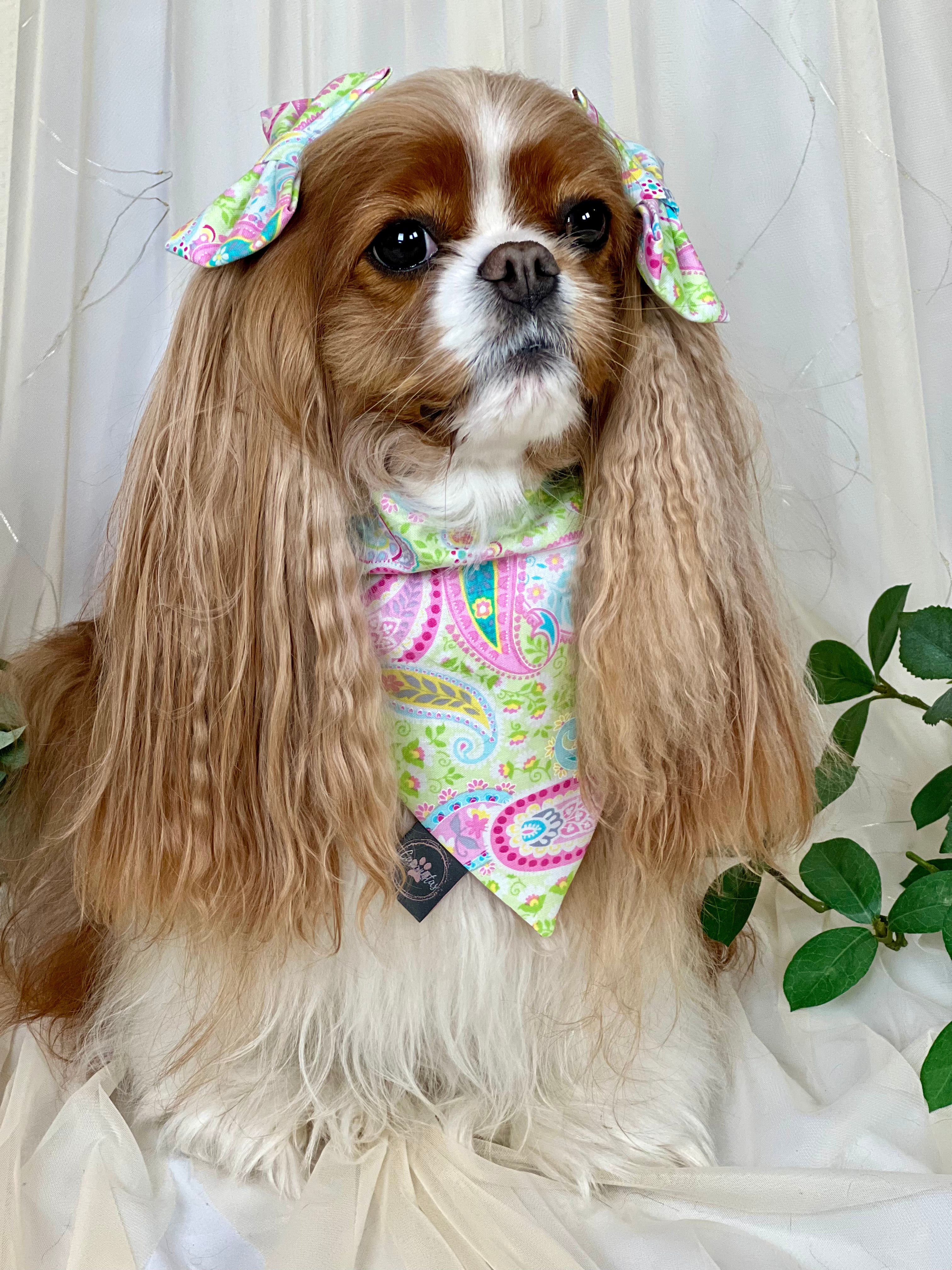 Intermission Wardrobe Change Reversible Bandana - Pink Polka Dots & Pastel Paisleys