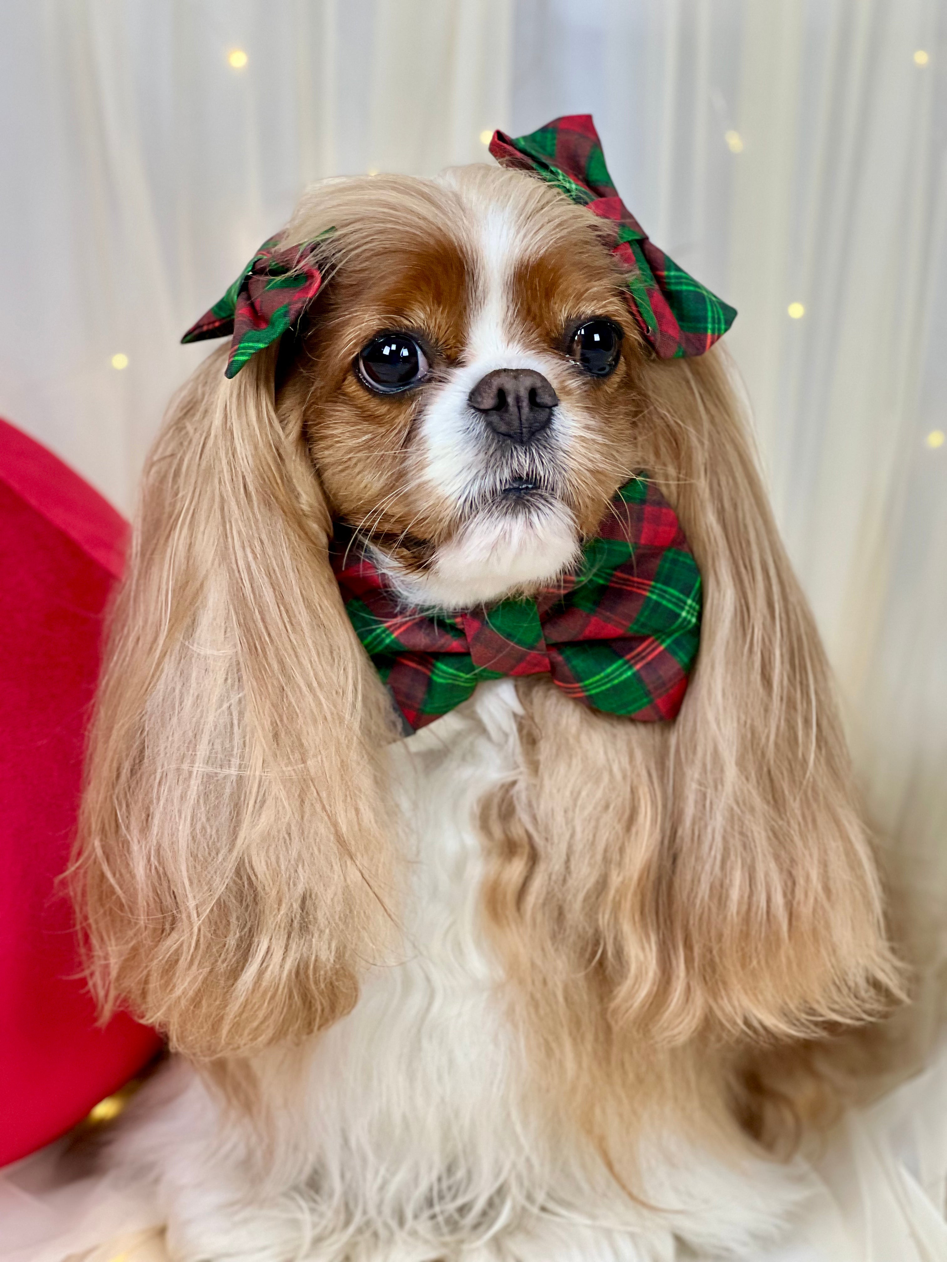 Accessories are a Must Hair Bows - Holiday Tartan