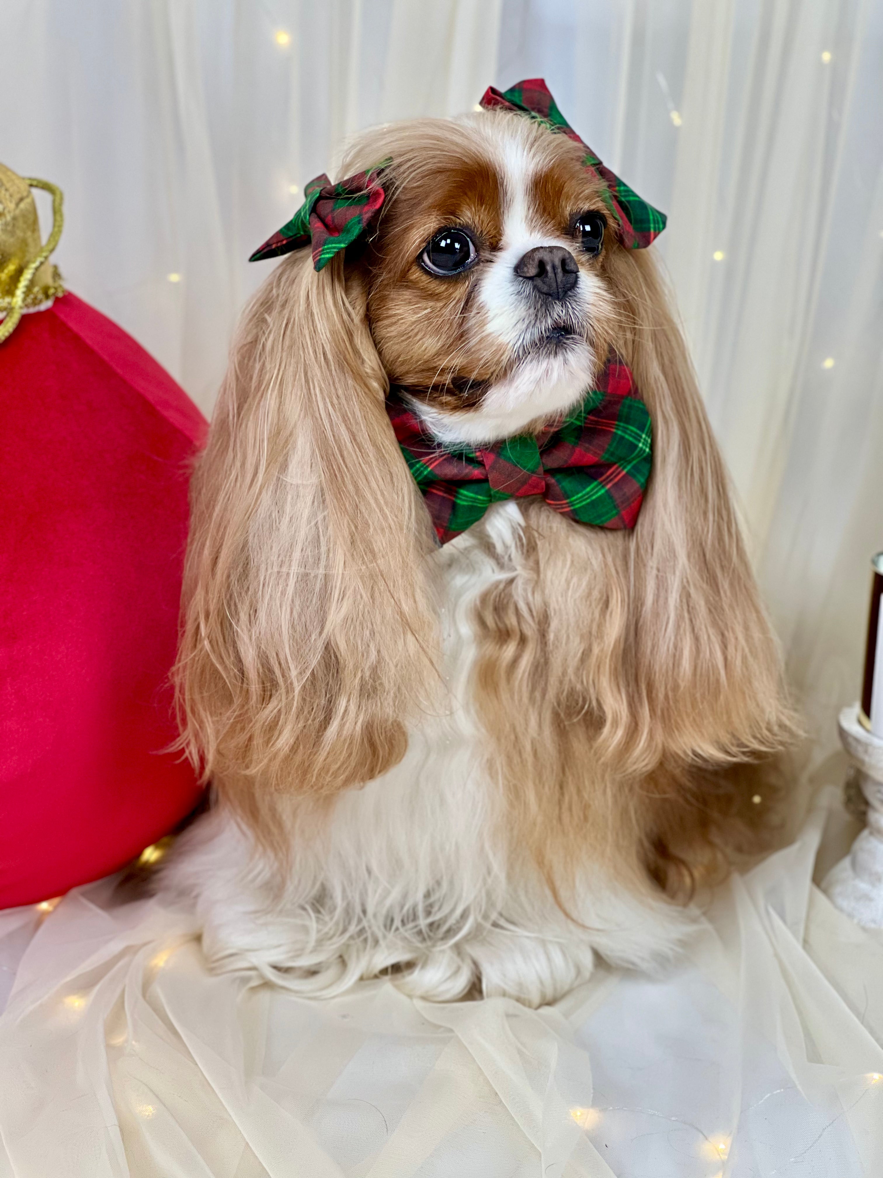 Accessories are a Must Hair Bows - Holiday Tartan