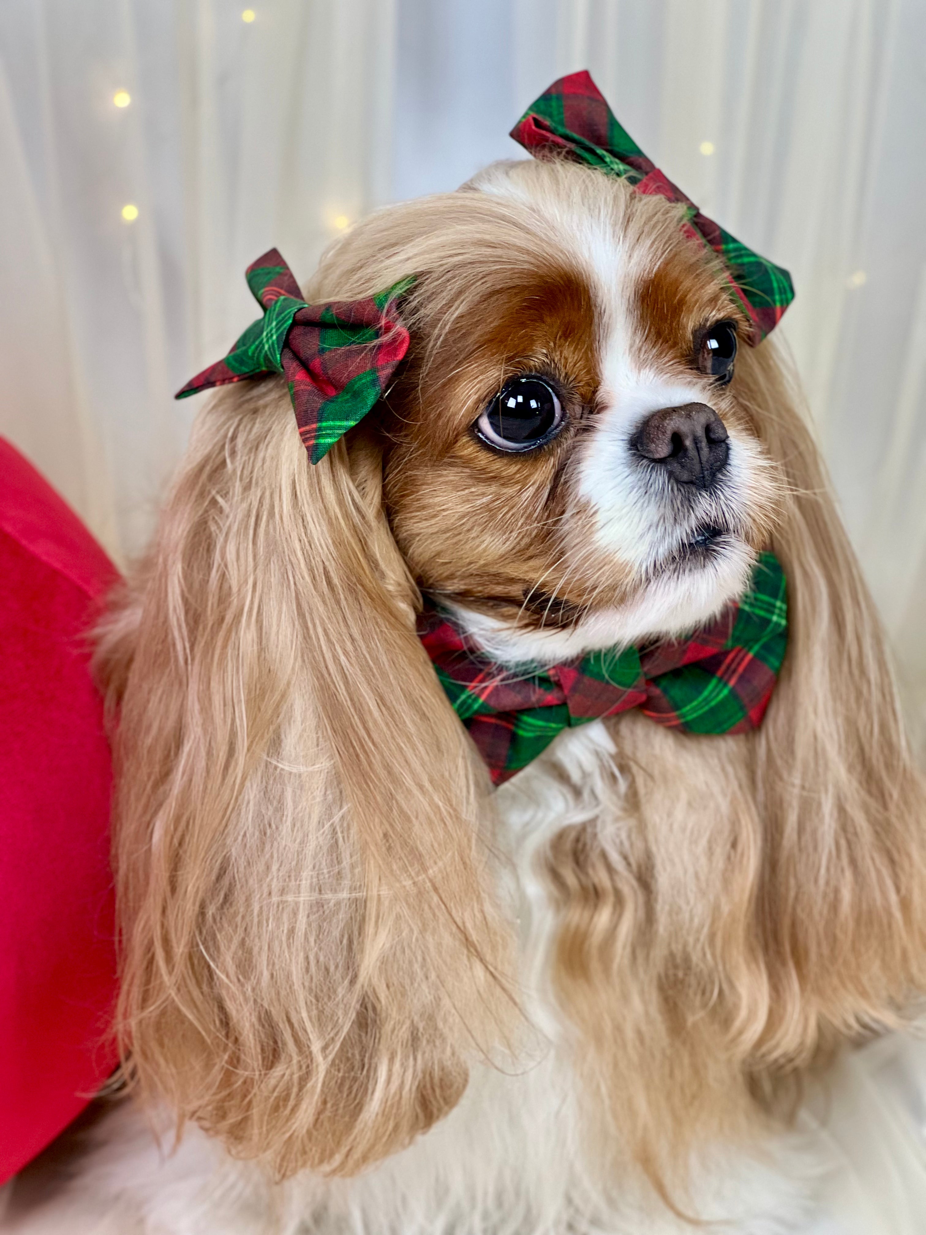 Accessories are a Must Hair Bows - Holiday Tartan