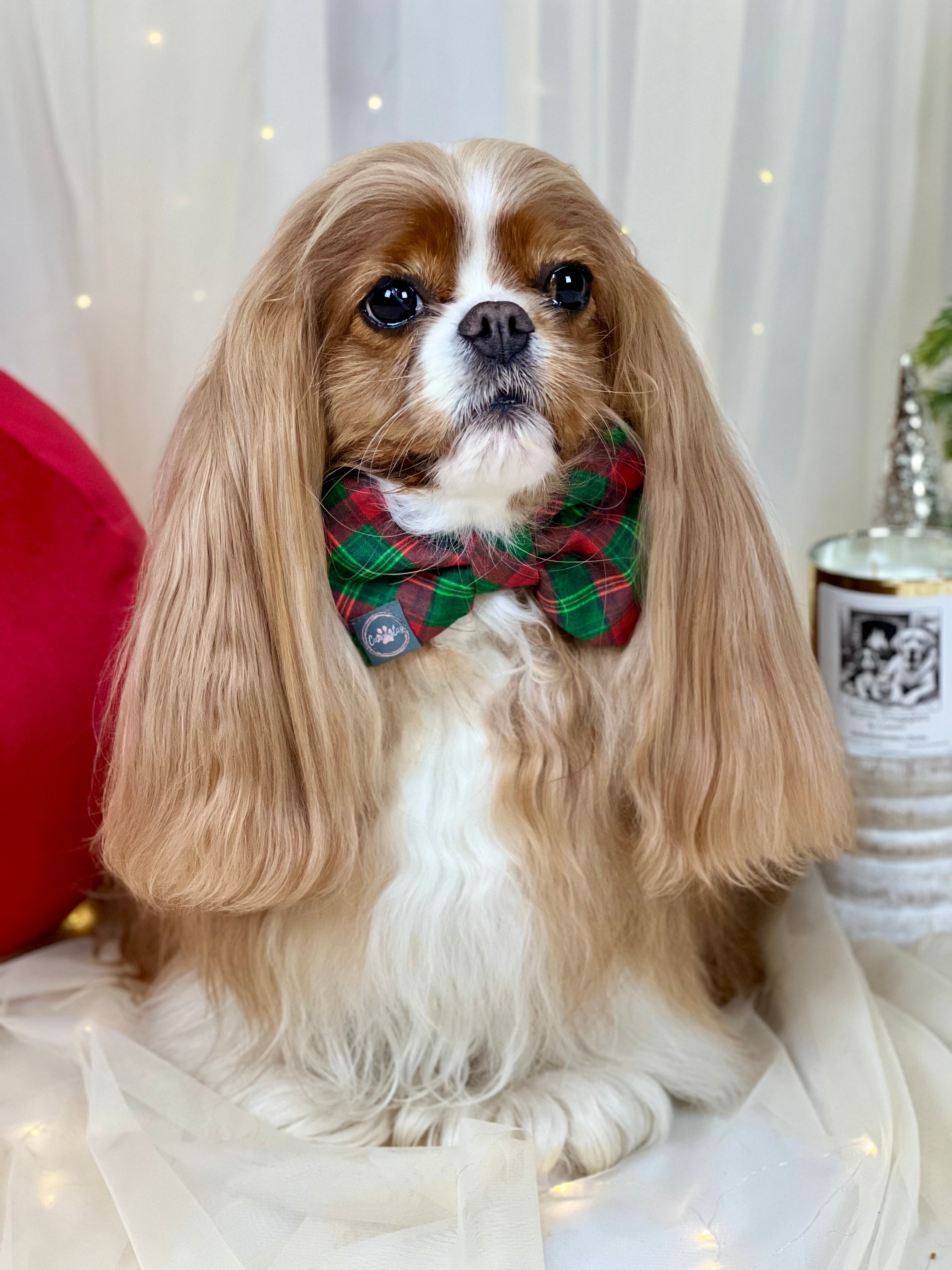 Dress to Impress Bow Tie - Holiday Tartan