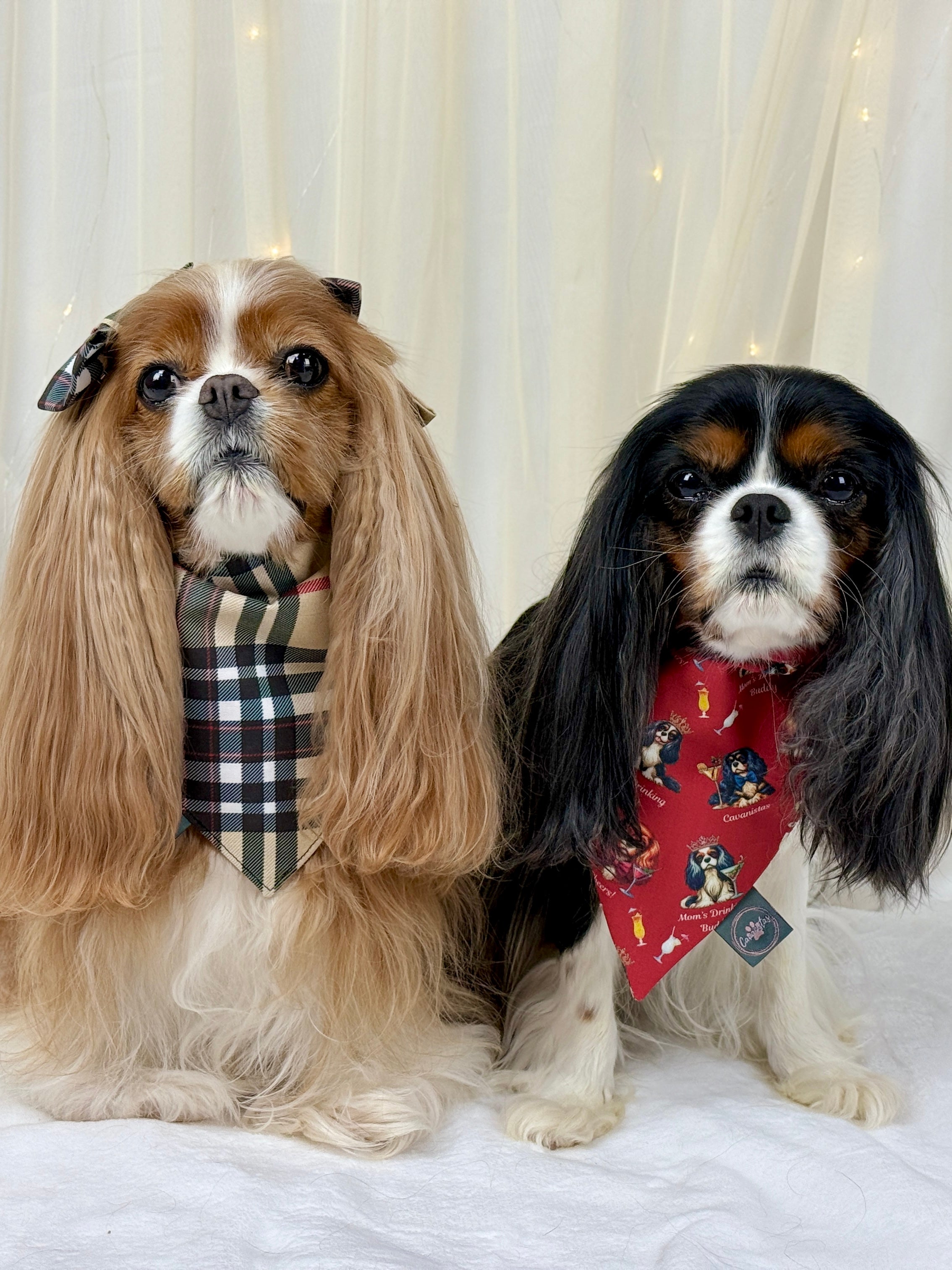 Intermission Wardrobe Change Reversible Bandana - Furberry Plaid & Mom's Drinking Buddy