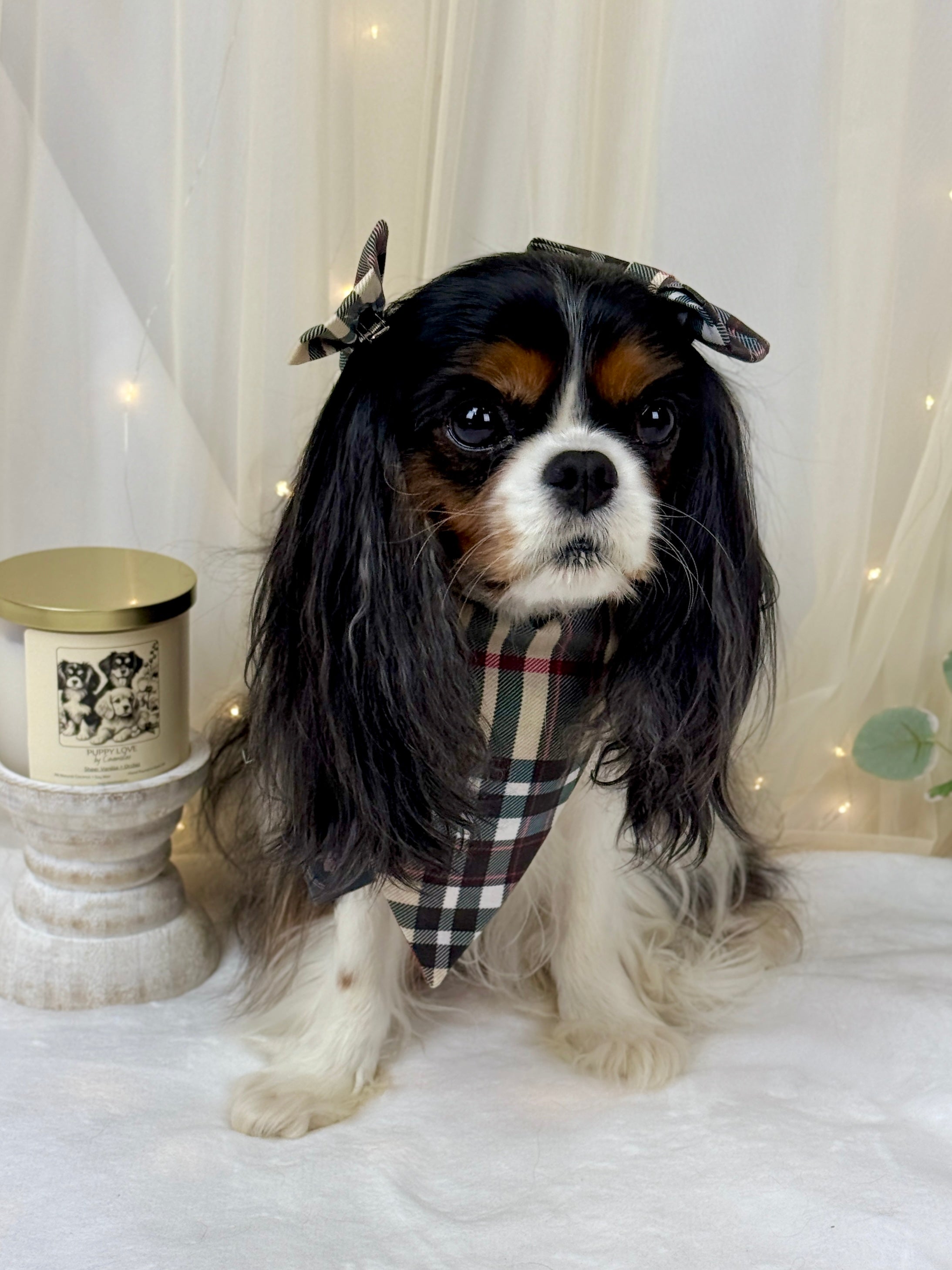 Intermission Wardrobe Change Reversible Bandana - Furberry Plaid & Mom's Drinking Buddy