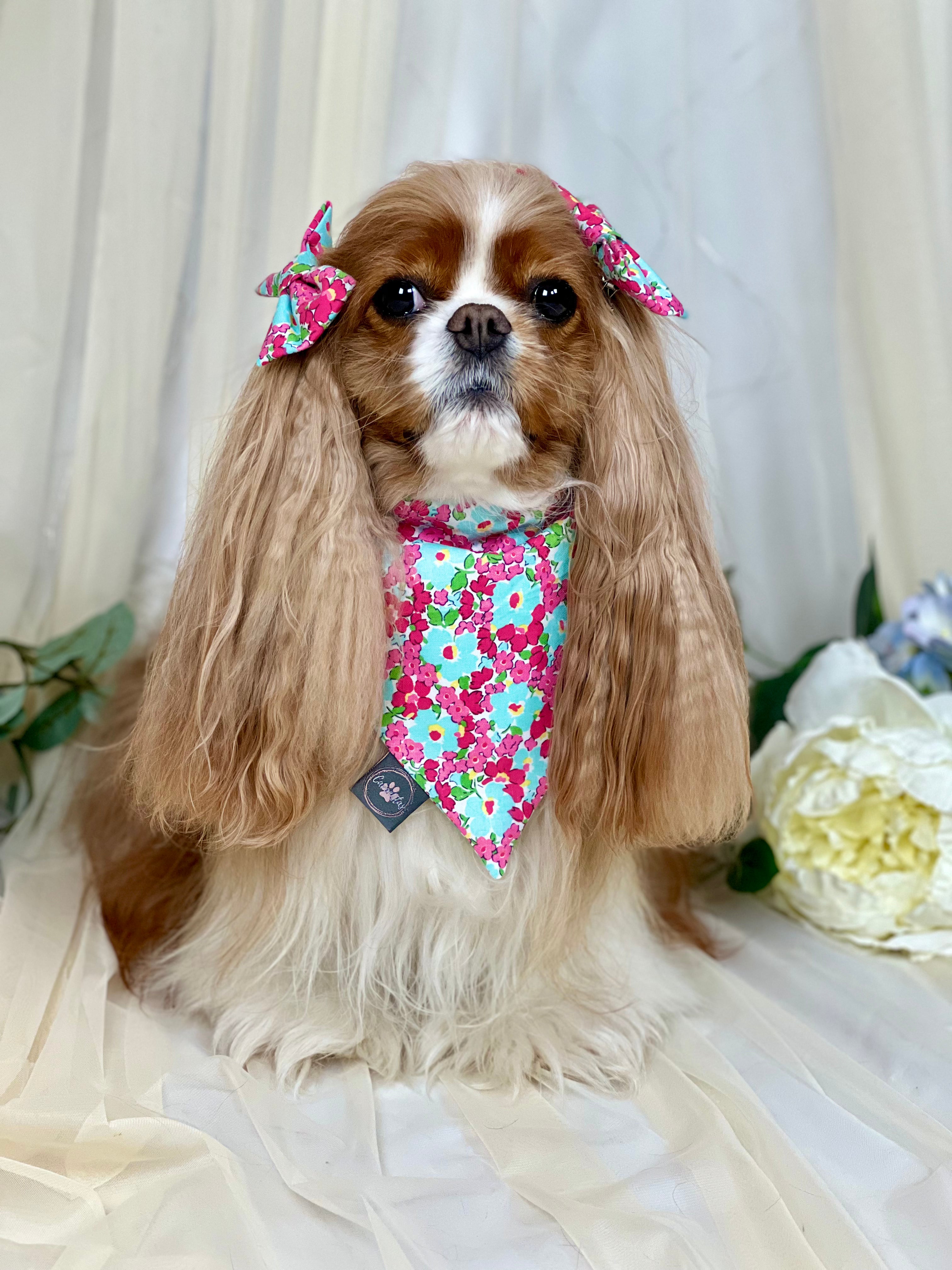 Intermission Wardrobe Change Reversible Bandana - Mint Diamonds & Raspberry Blossoms