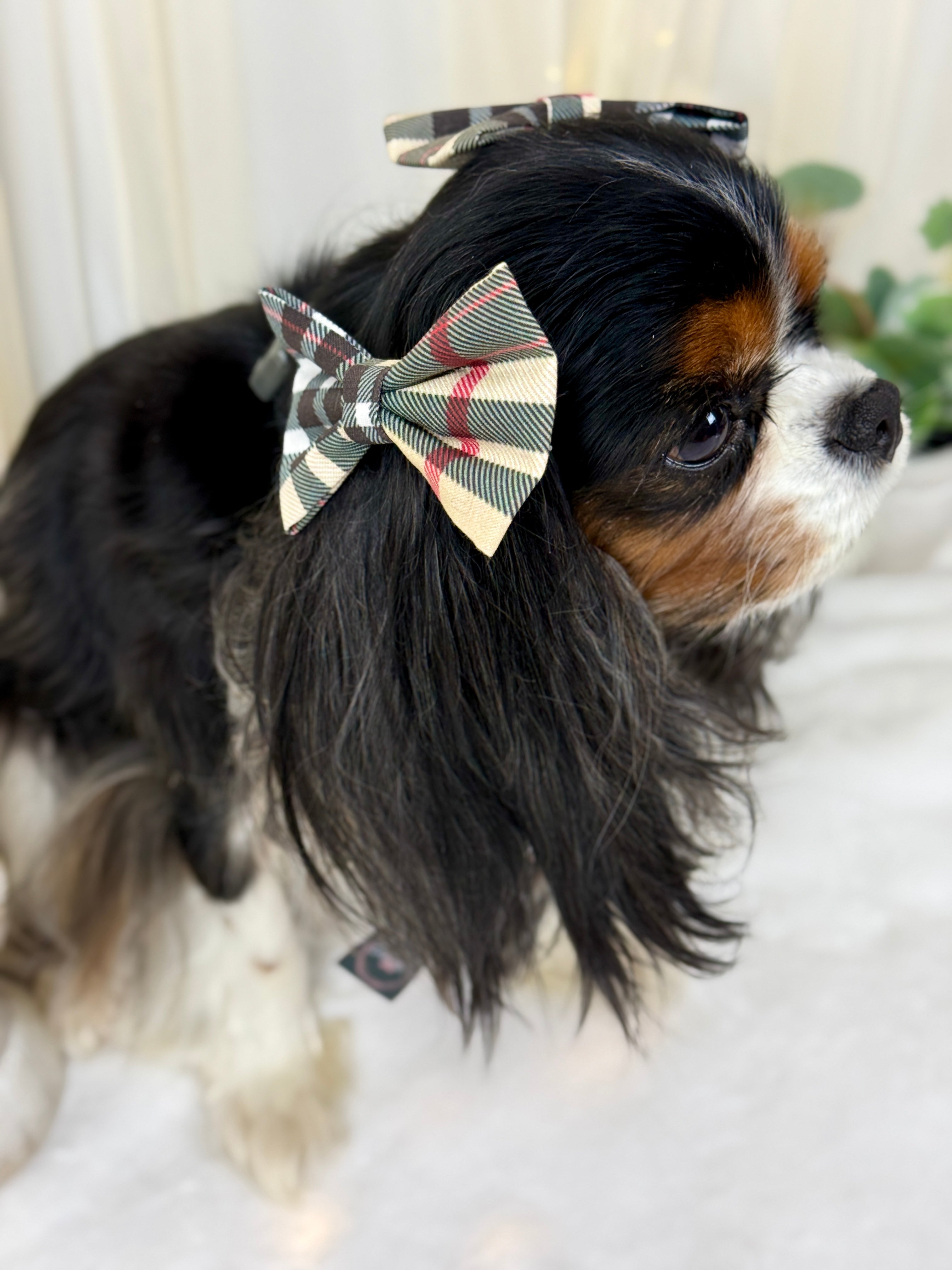 Accessories are a Must Hair Bows - Furberry Plaid
