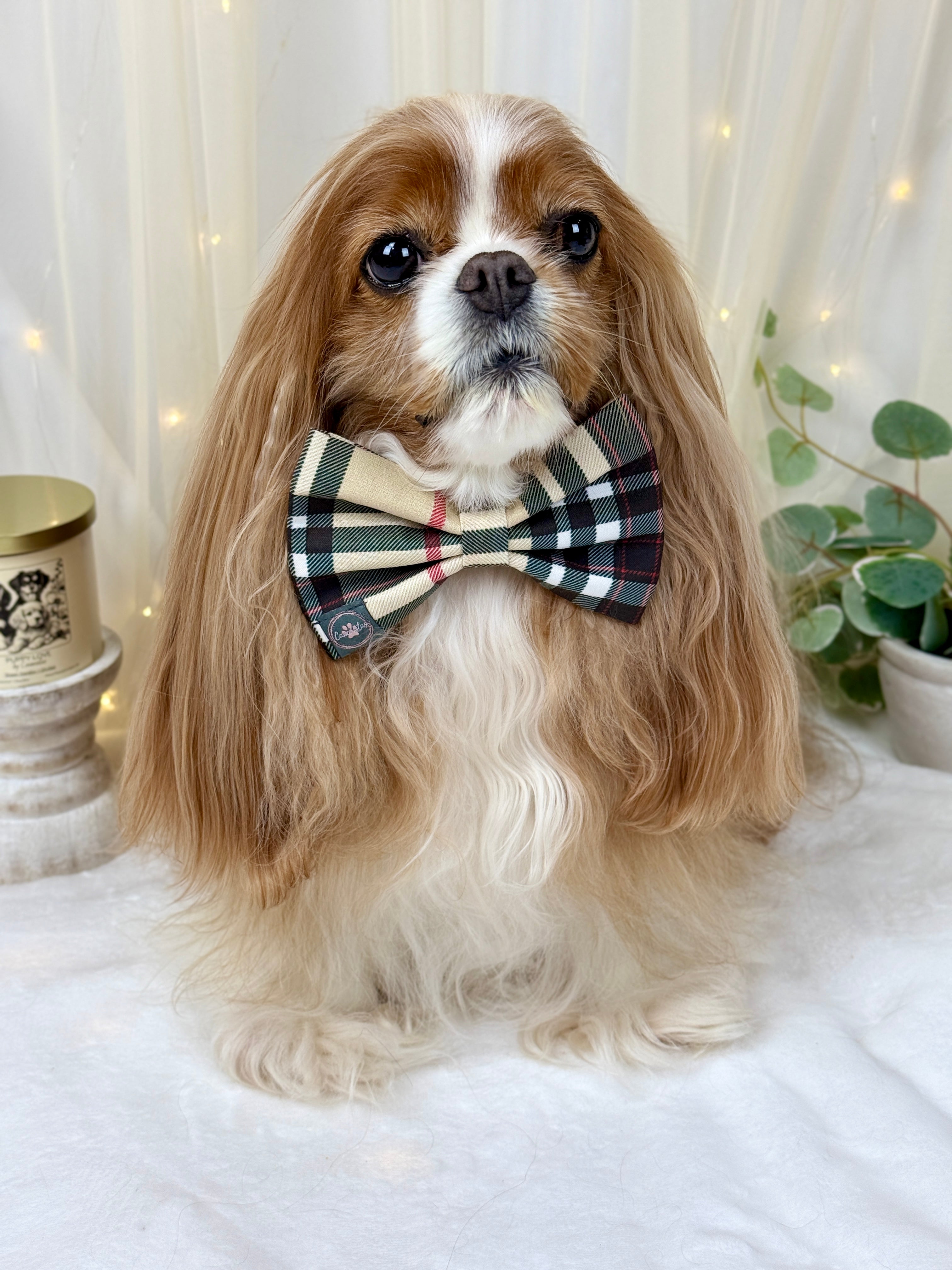 Dress to Impress Bow Tie- Furberry Plaid