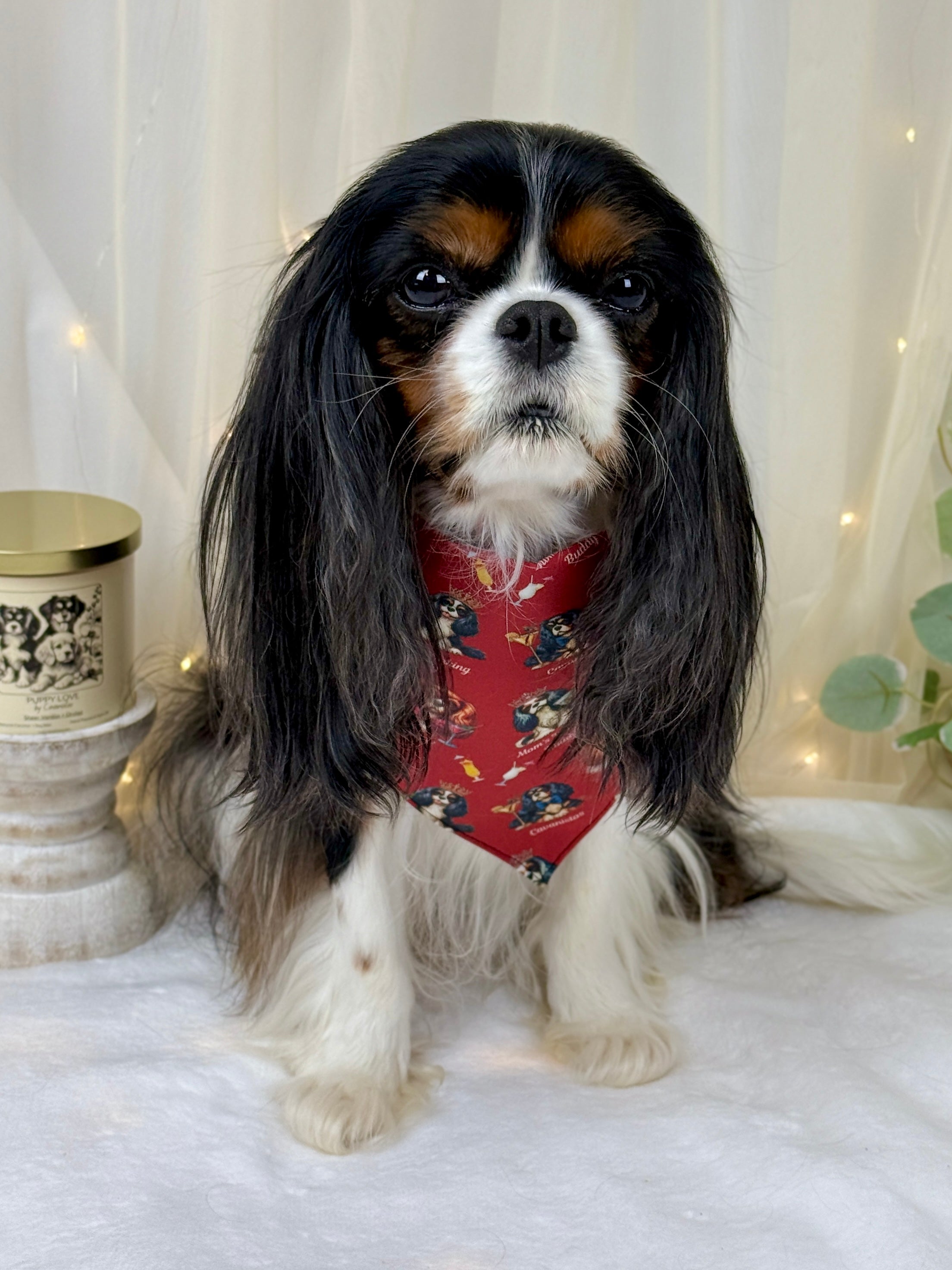 Intermission Wardrobe Change Reversible Bandana - Furberry Plaid & Mom's Drinking Buddy