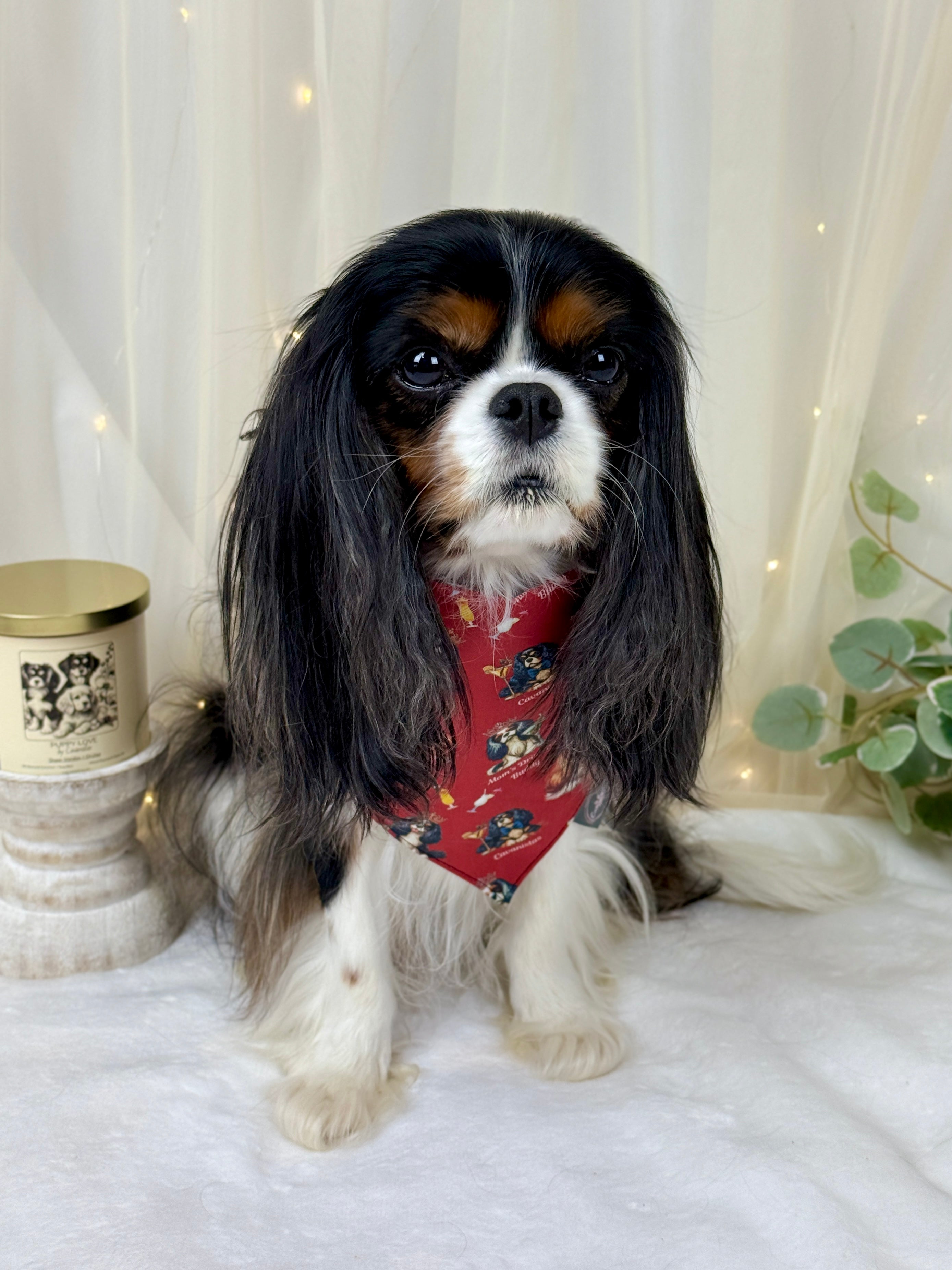 Intermission Wardrobe Change Reversible Bandana - Furberry Plaid & Mom's Drinking Buddy