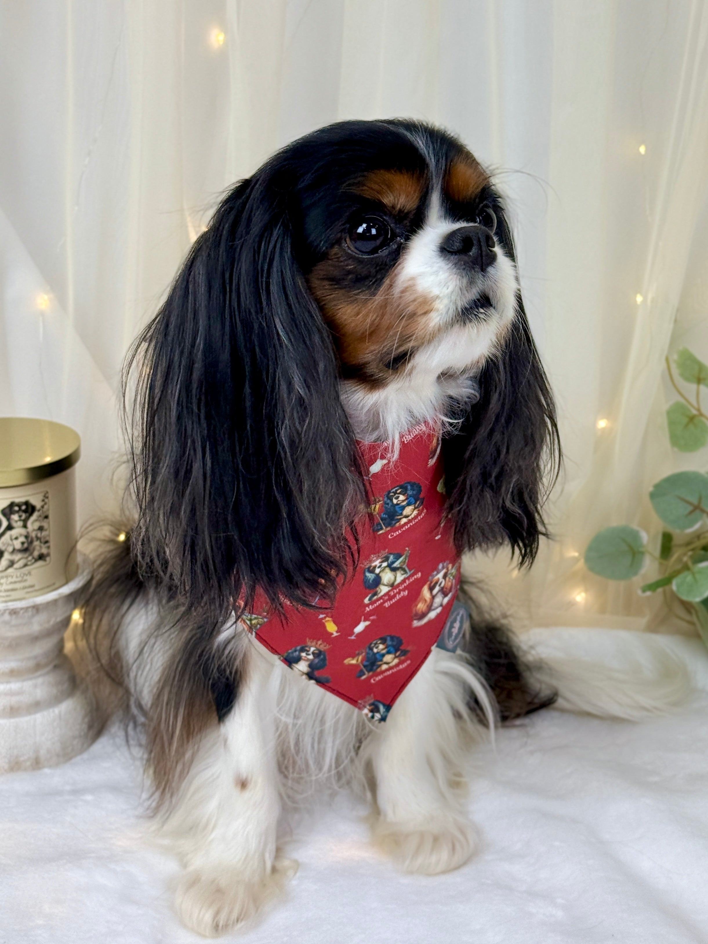 Intermission Wardrobe Change Reversible Bandana - Furberry Plaid & Mom's Drinking Buddy