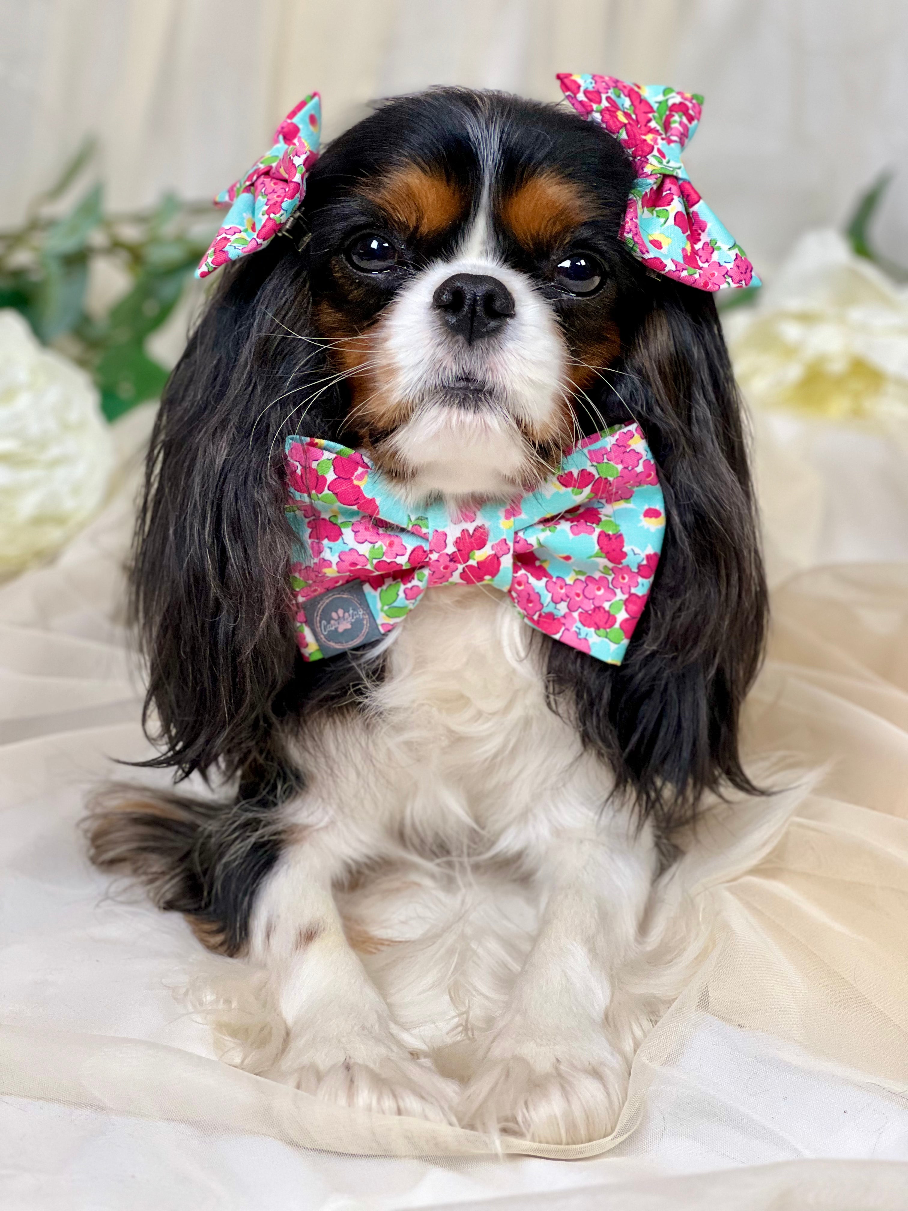 Dress to Impress Bow Tie - Mint Diamonds & Raspberry Blossoms