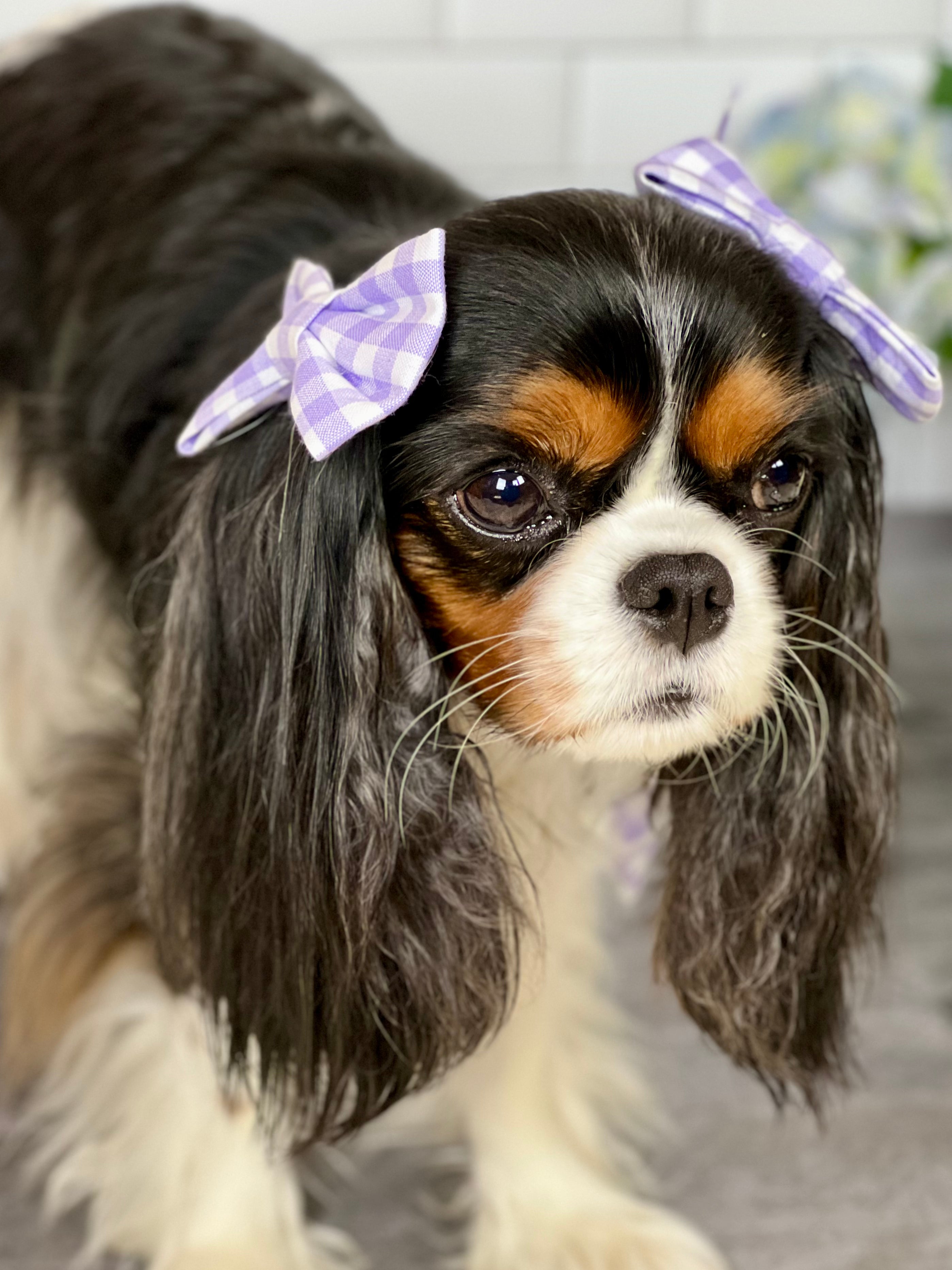 Accessories are a Must Hair Bows - Jardin de Fluers and Lavender Gingham