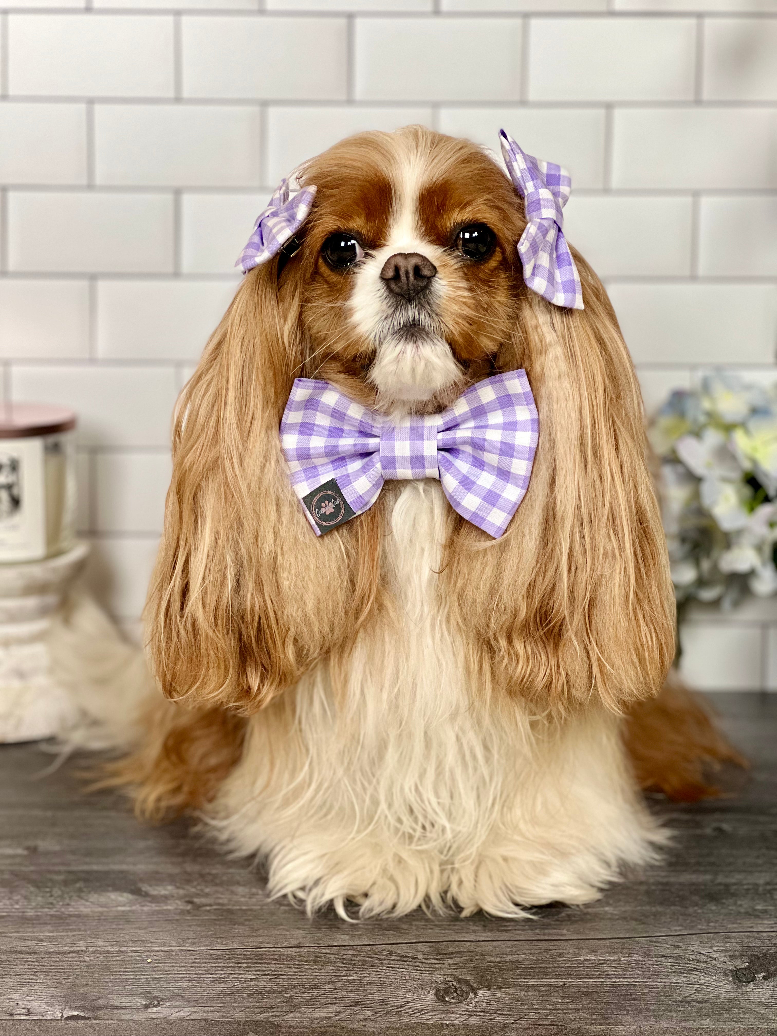 Dress to Impress Bow Tie - Jardin de Fluers and Lavender Gingham