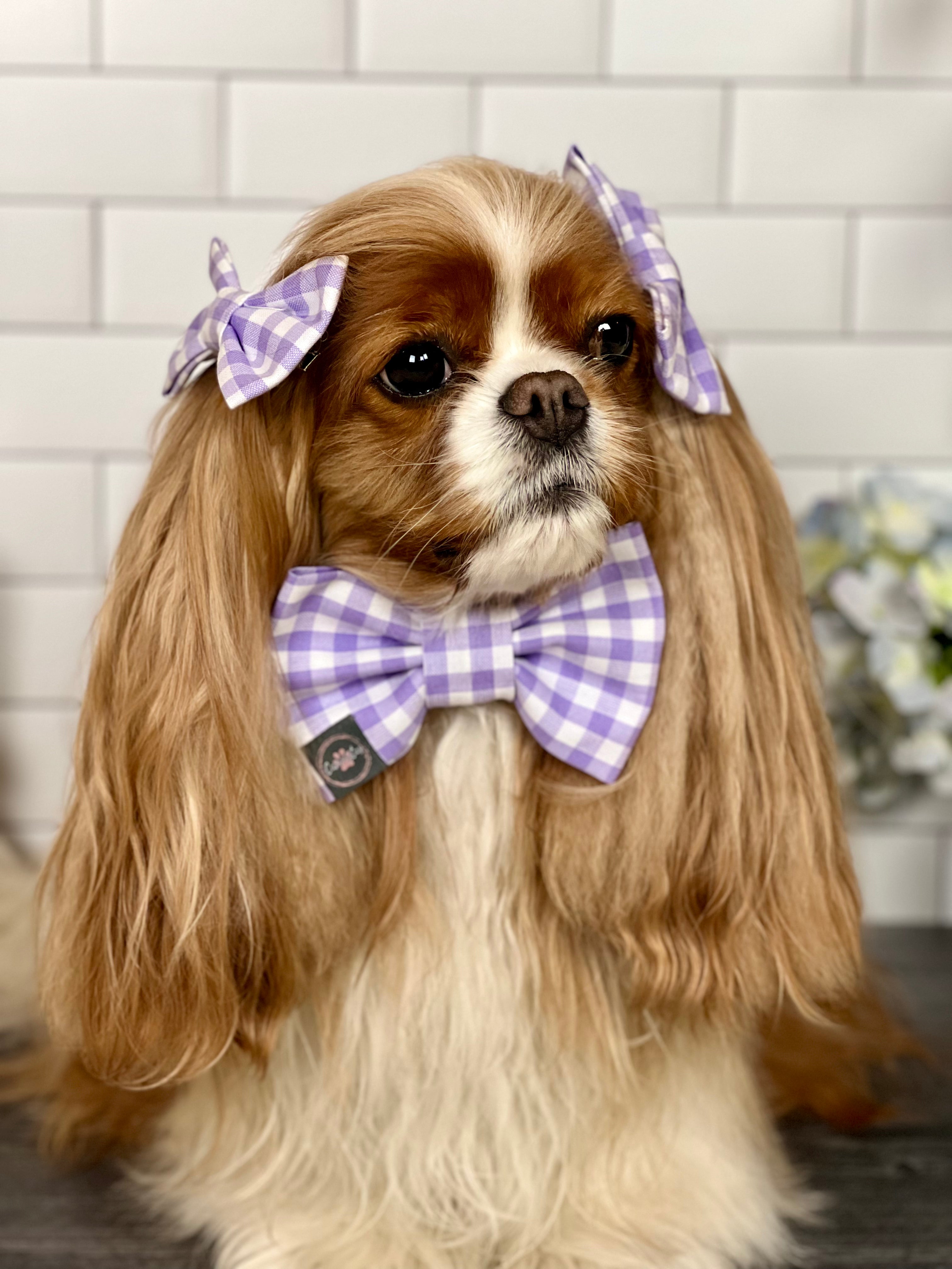 Dress to Impress Bow Tie - Jardin de Fluers and Lavender Gingham