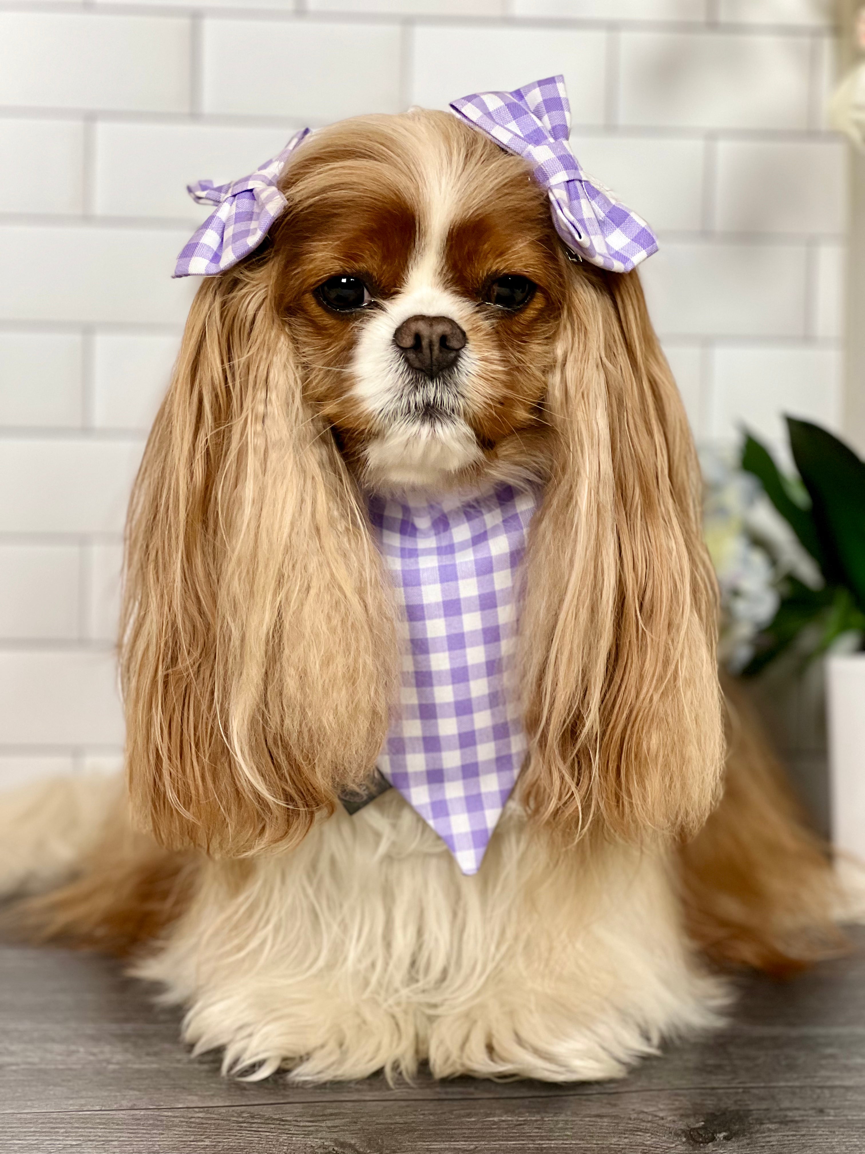 Intermission Wardrobe Change Reversible Bandana - Jardin de Fleurs/Lavender Gingham