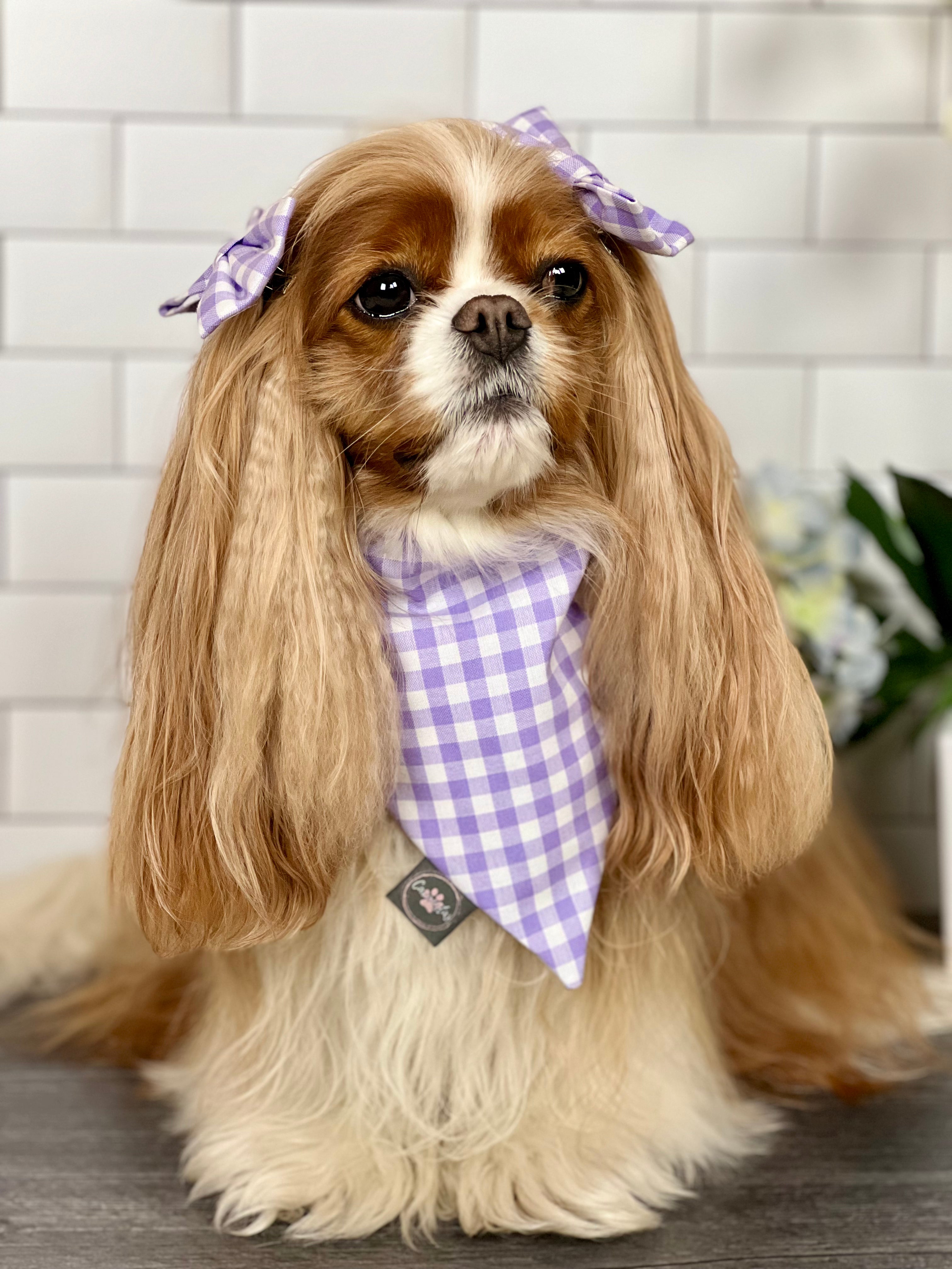 Intermission Wardrobe Change Reversible Bandana - Jardin de Fleurs/Lavender Gingham