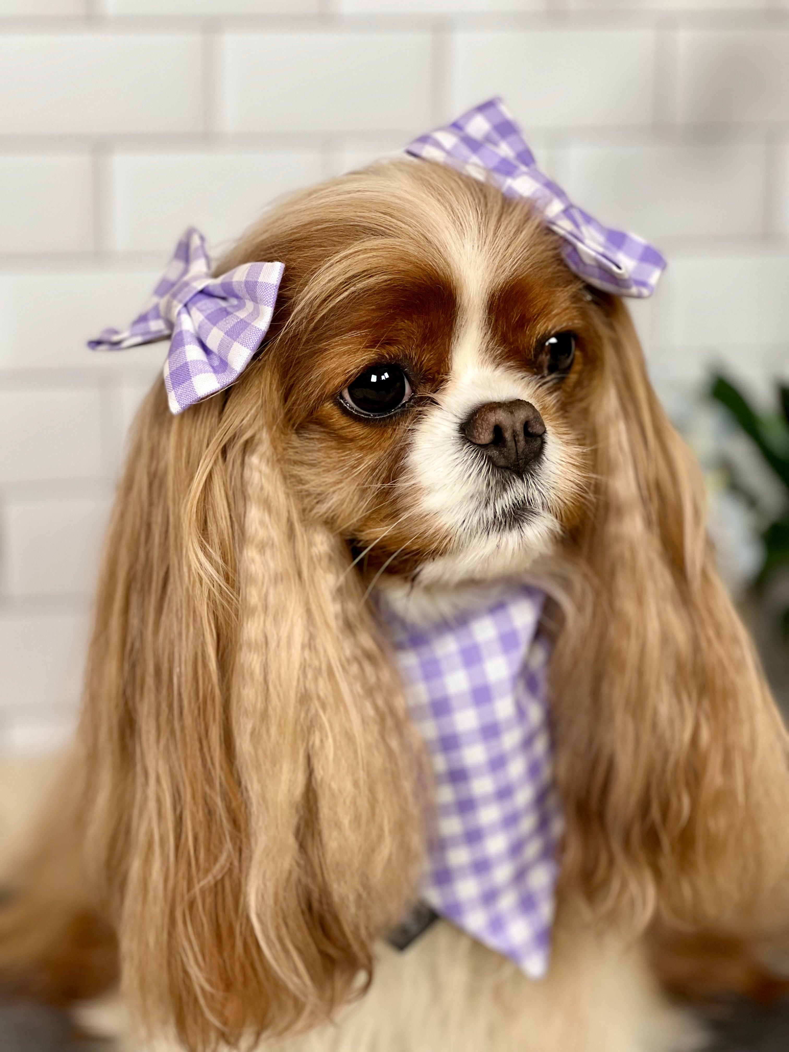 Accessories are a Must Hair Bows - Jardin de Fluers and Lavender Gingham