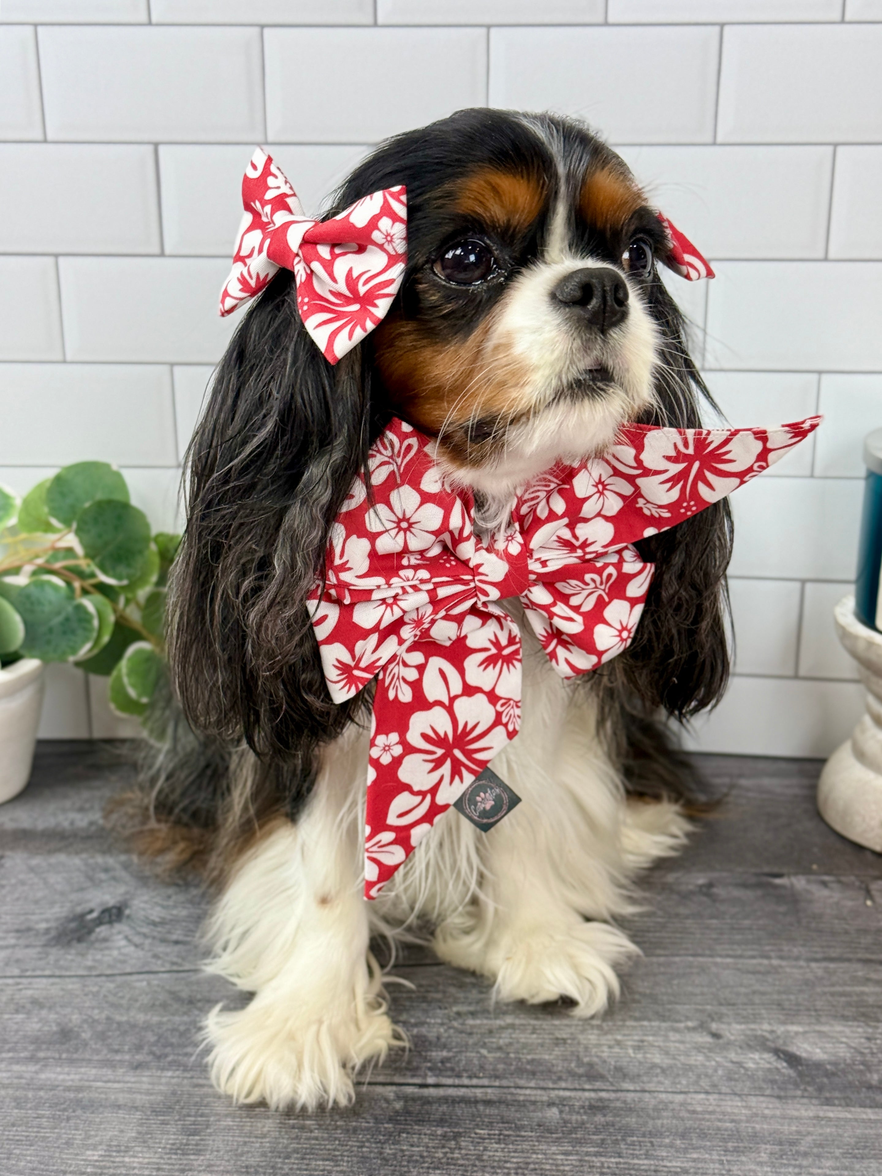 Accessories are a Must Hair Bows - Aloha