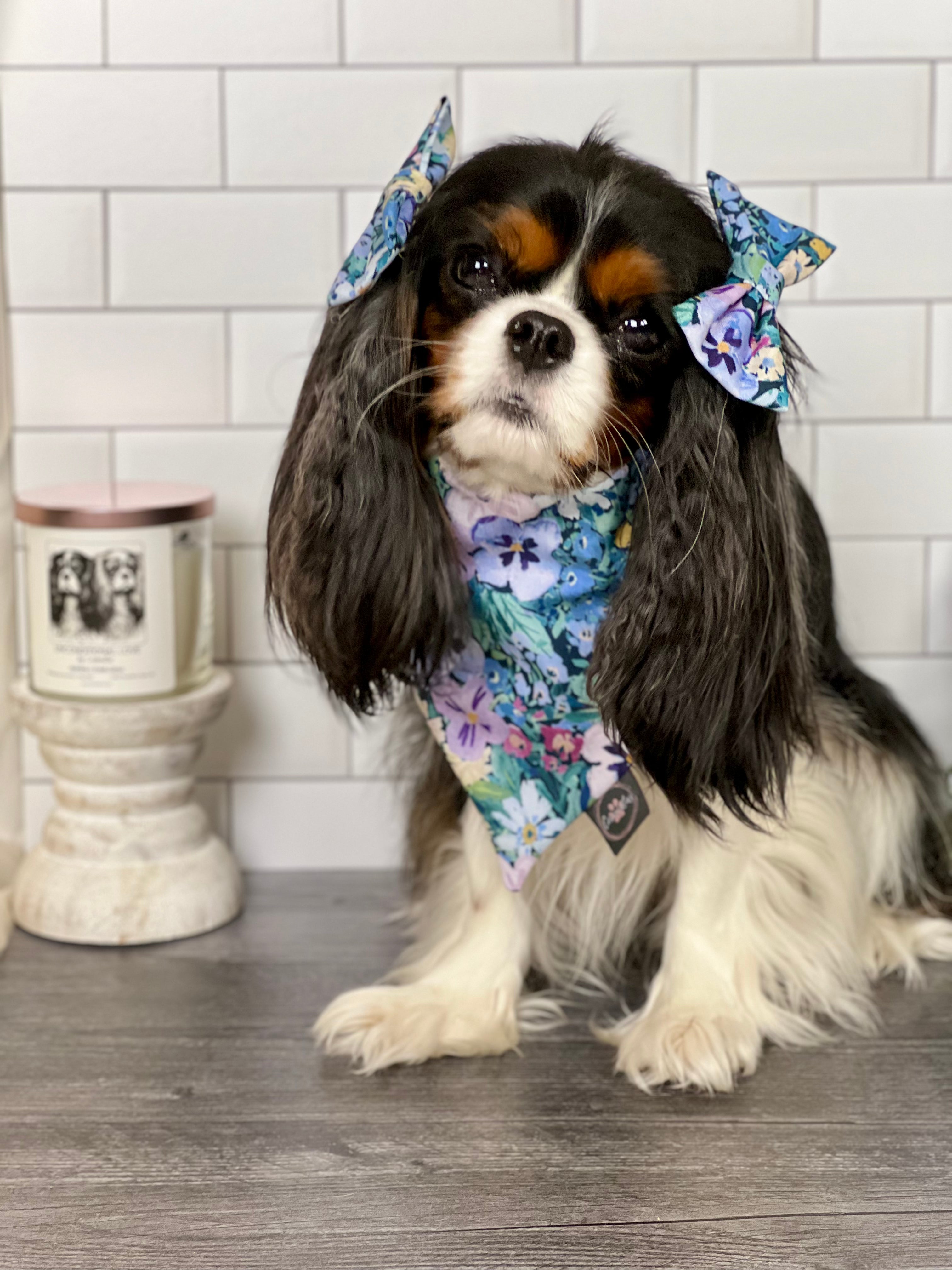 Intermission Wardrobe Change Reversible Bandana - Jardin de Fleurs/Lavender Gingham