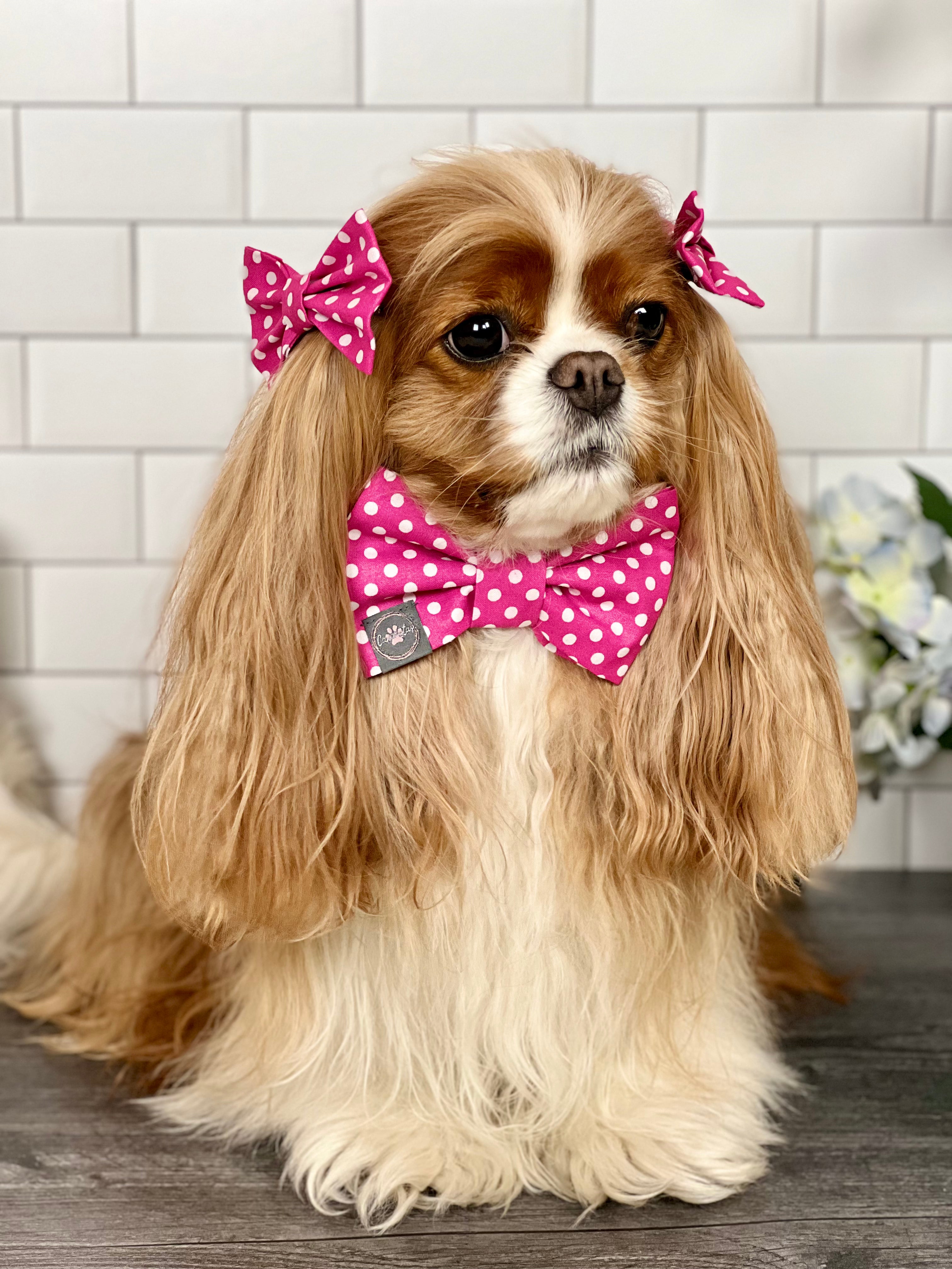 Dress to Impress Bow Tie - Pink Polka Dots & Pastel Paisleys