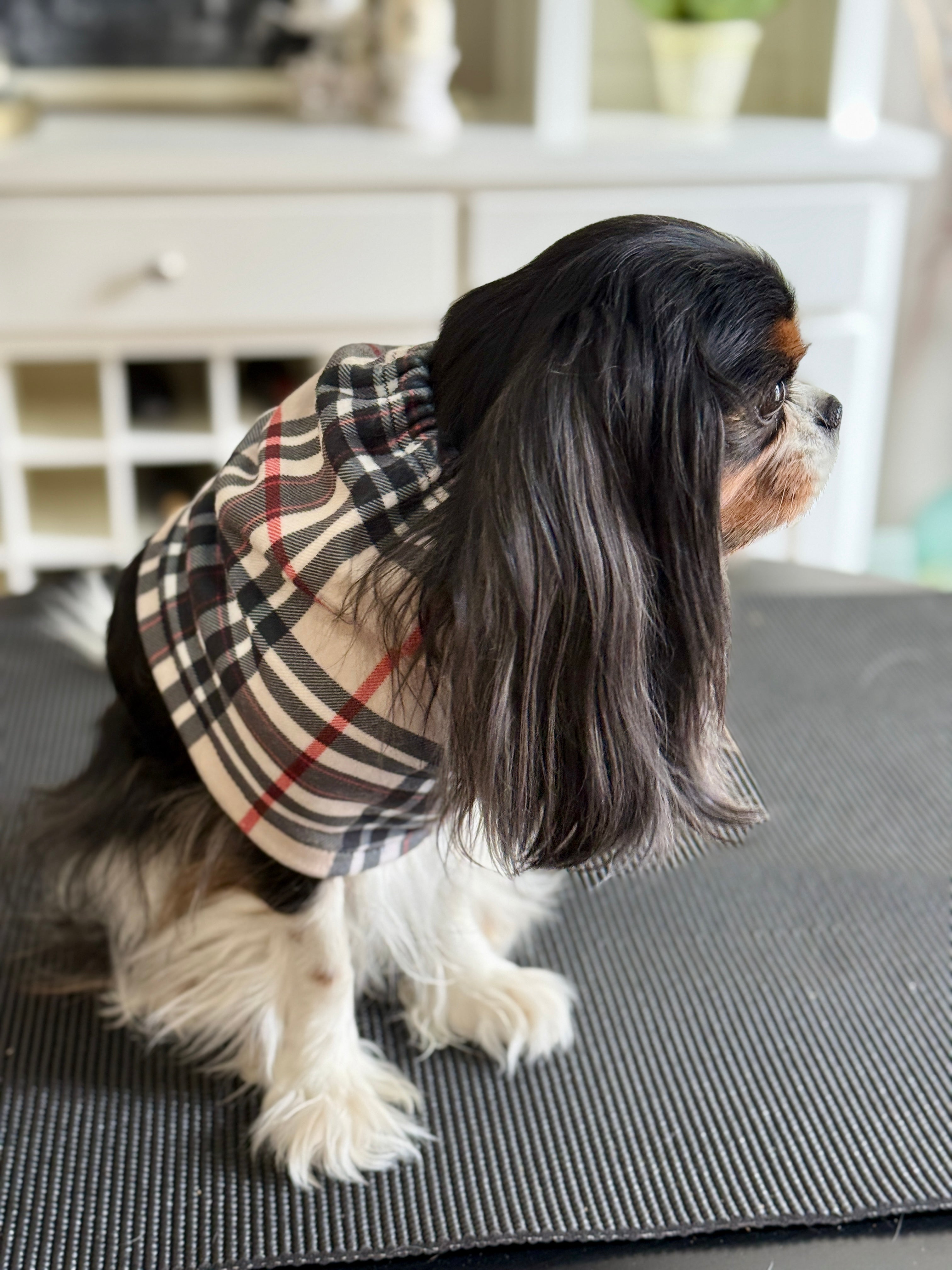 Cozy & Warm Infinity Scarf