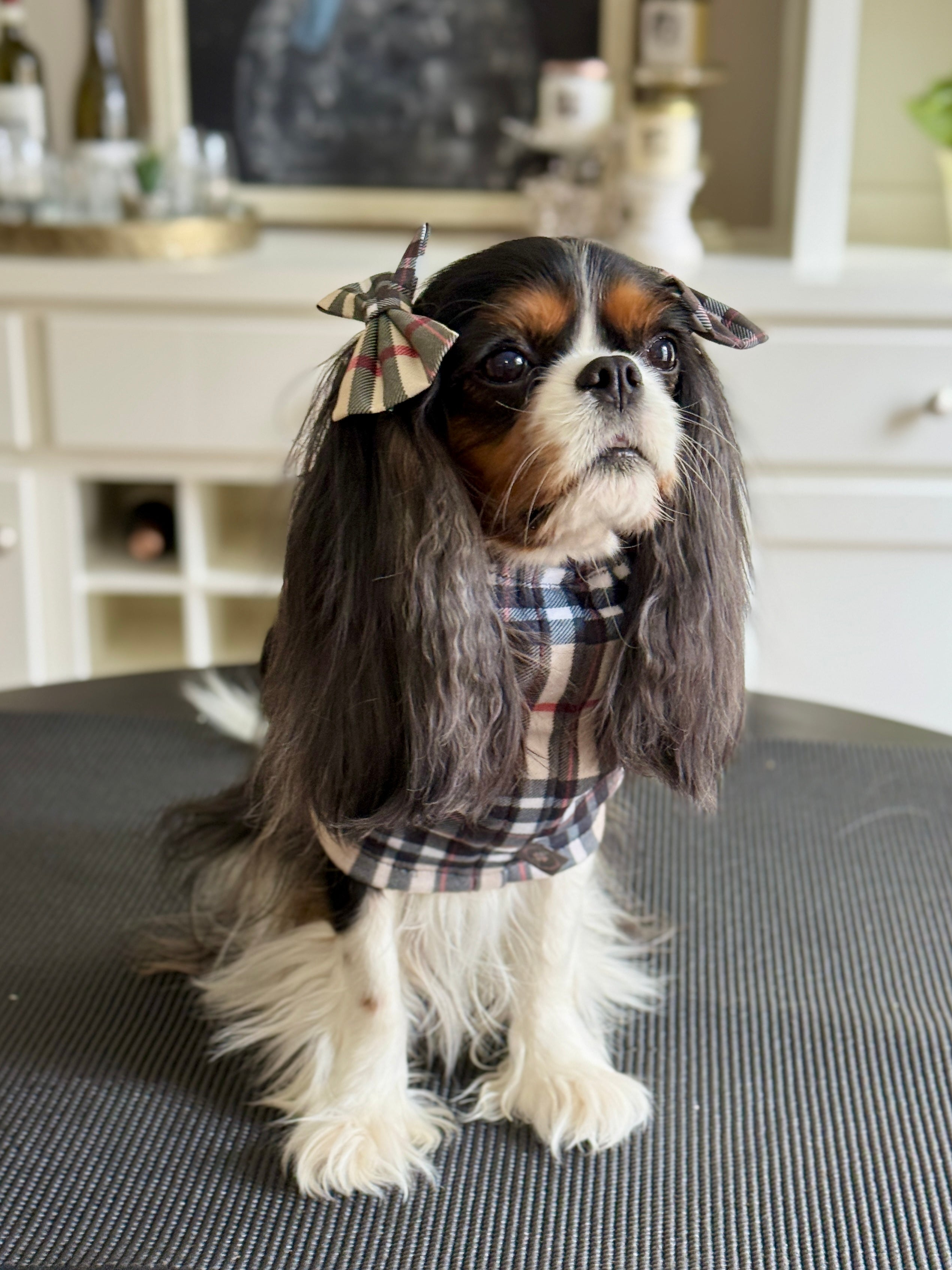 Cozy & Warm Infinity Scarf