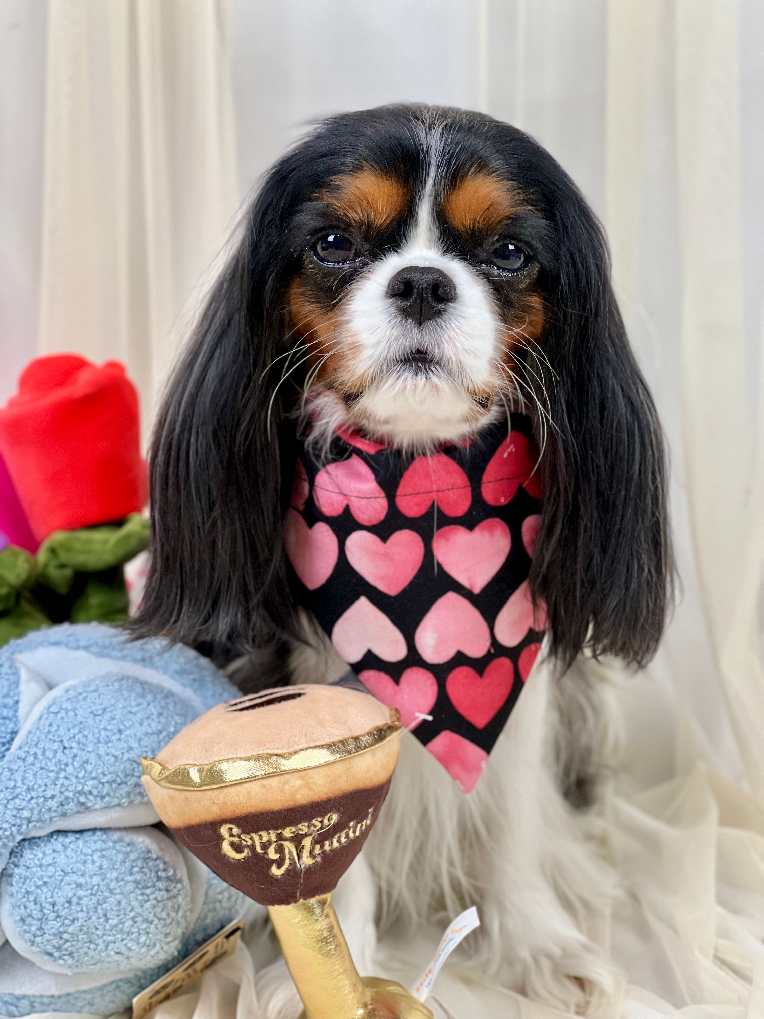 Intermission Wardrobe Change Reversible Bandana - Hugs & Kisses and Love Struck