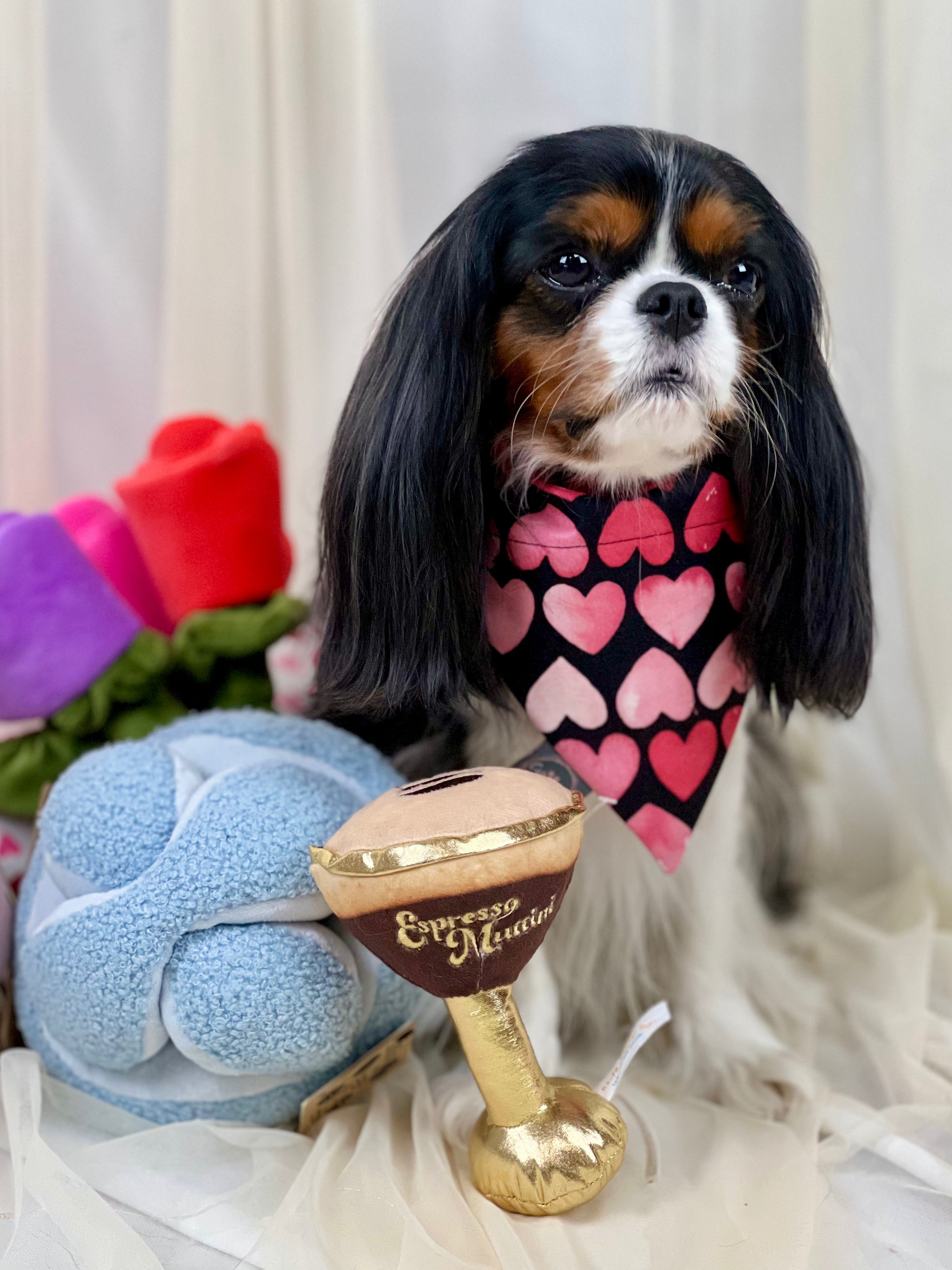 Intermission Wardrobe Change Reversible Bandana - Hugs & Kisses and Love Struck